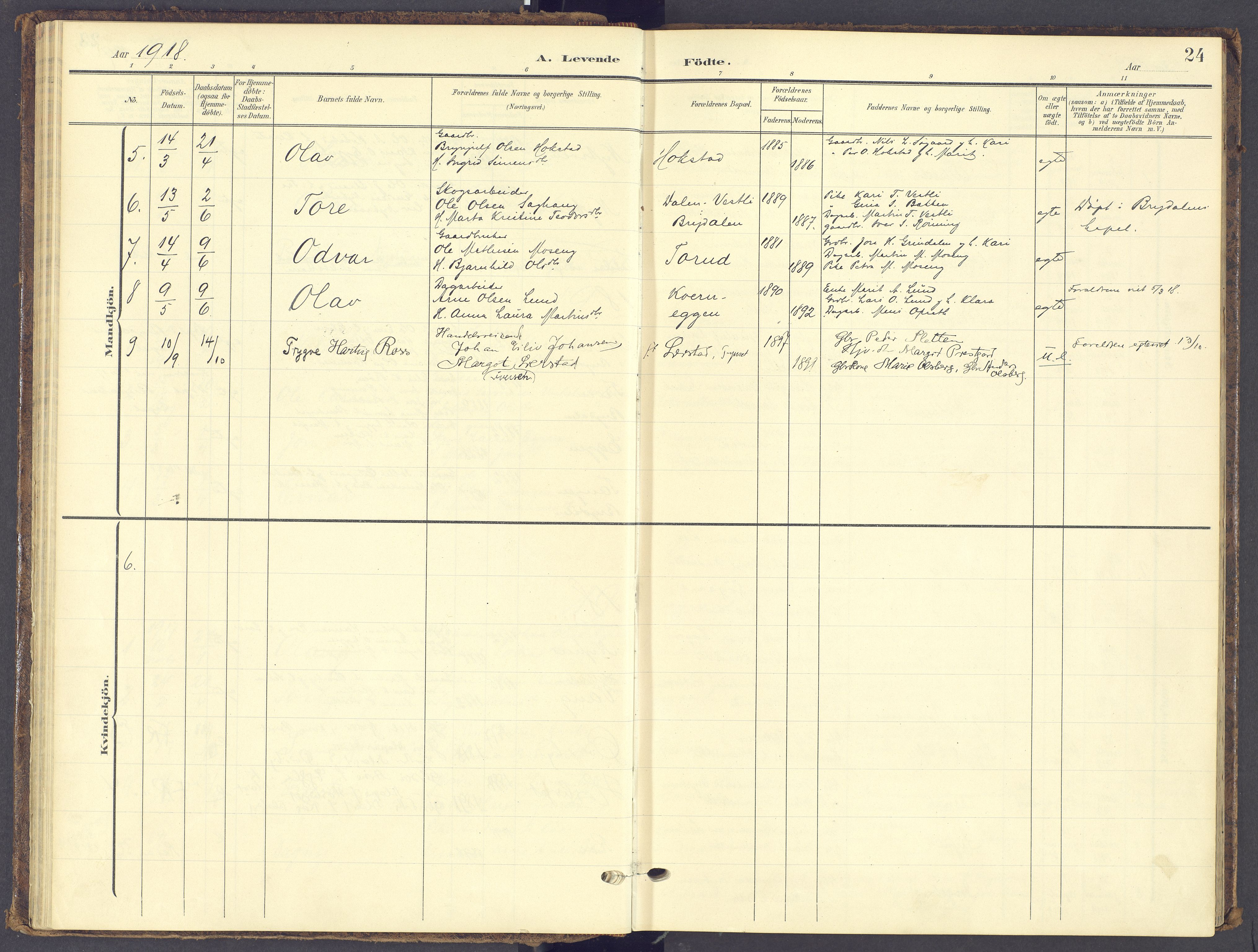 Tynset prestekontor, AV/SAH-PREST-058/H/Ha/Haa/L0028: Parish register (official) no. 28, 1902-1929, p. 24