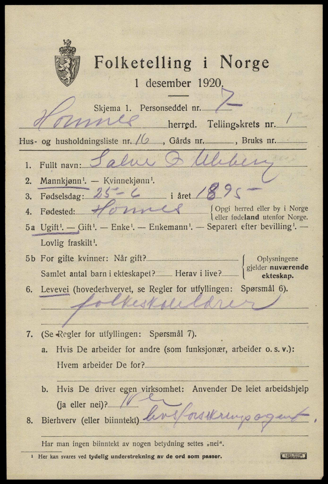 SAK, 1920 census for Hornnes, 1920, p. 699