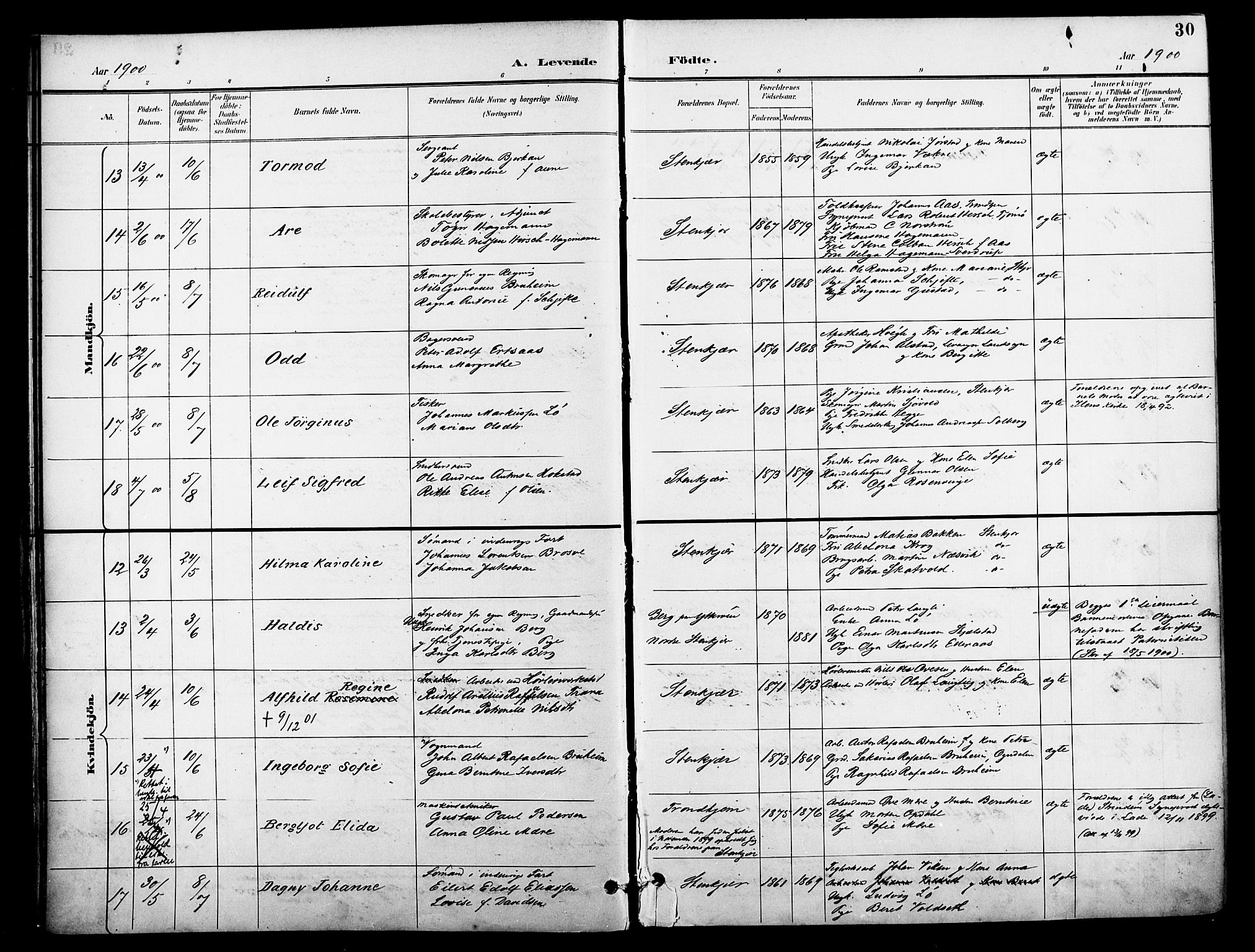 Ministerialprotokoller, klokkerbøker og fødselsregistre - Nord-Trøndelag, AV/SAT-A-1458/739/L0372: Parish register (official) no. 739A04, 1895-1903, p. 30