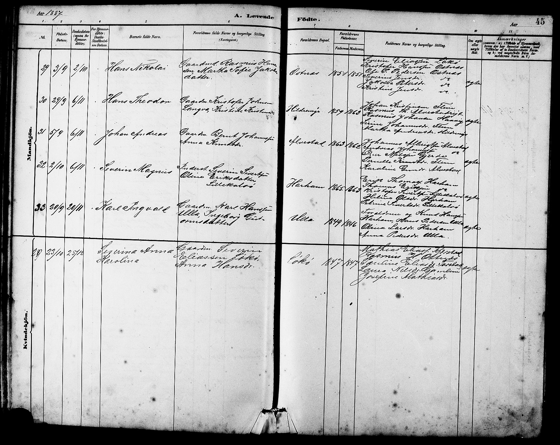 Ministerialprotokoller, klokkerbøker og fødselsregistre - Møre og Romsdal, SAT/A-1454/536/L0510: Parish register (copy) no. 536C05, 1881-1898, p. 45