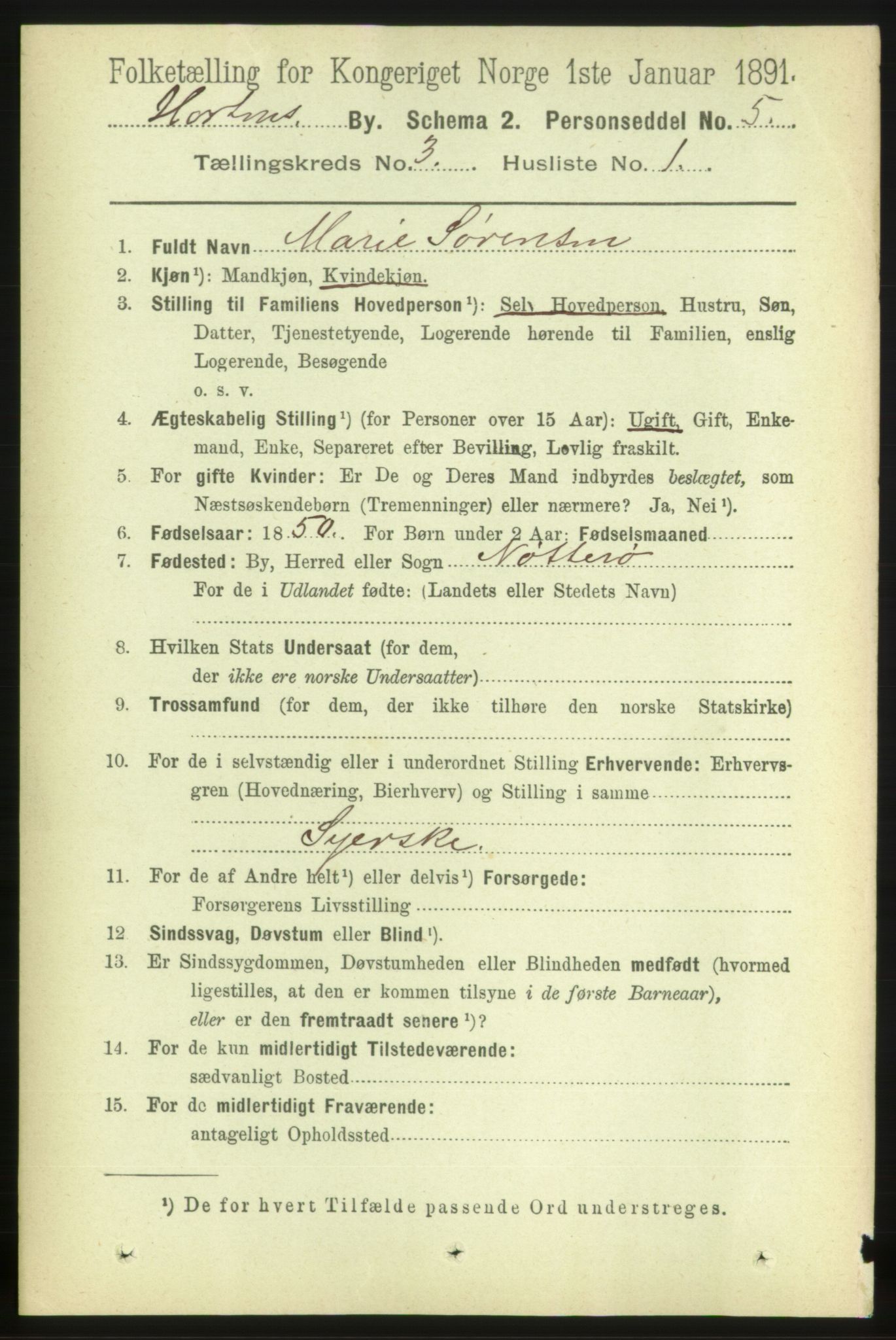 RA, 1891 census for 0703 Horten, 1891, p. 2691