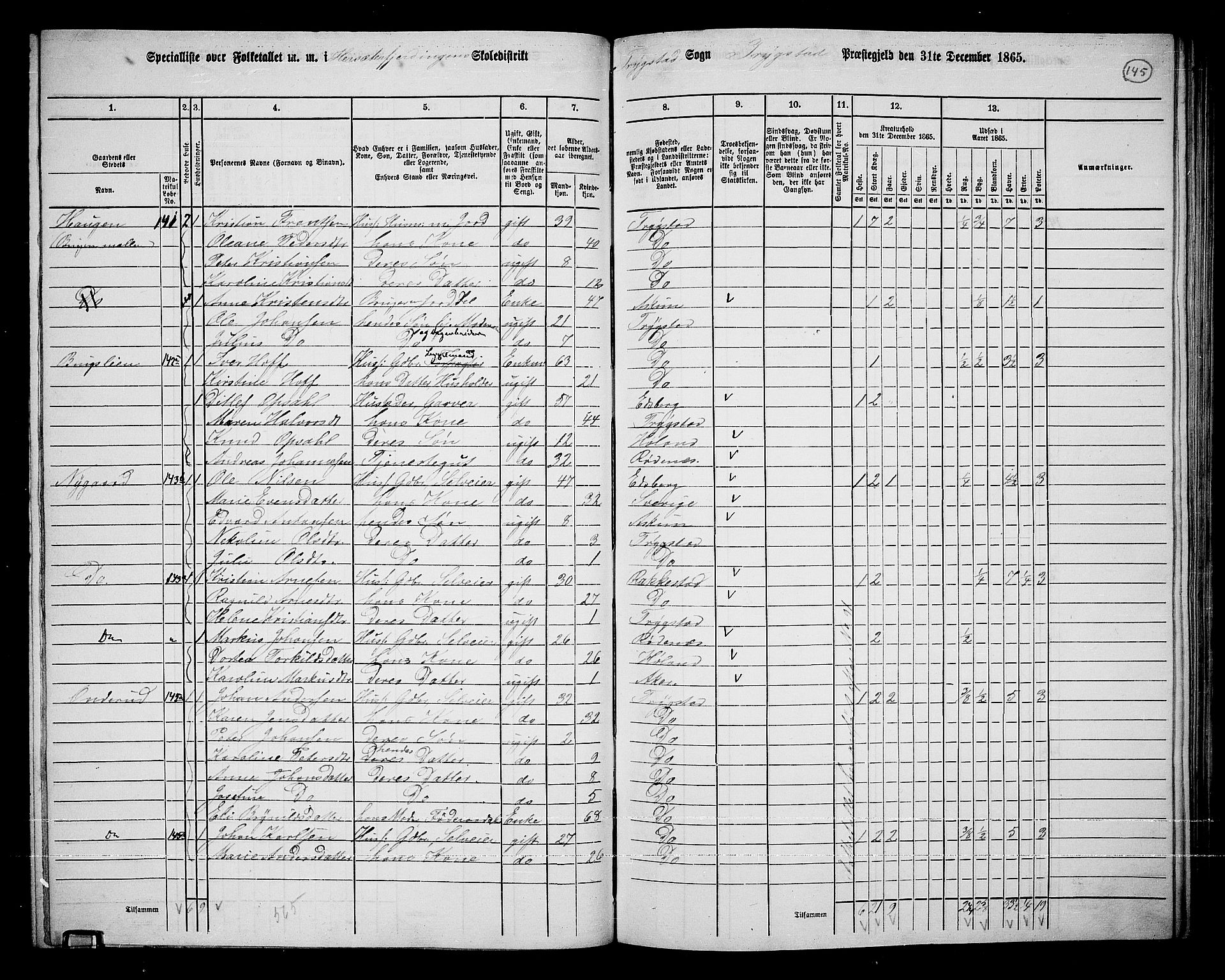 RA, 1865 census for Trøgstad, 1865, p. 129