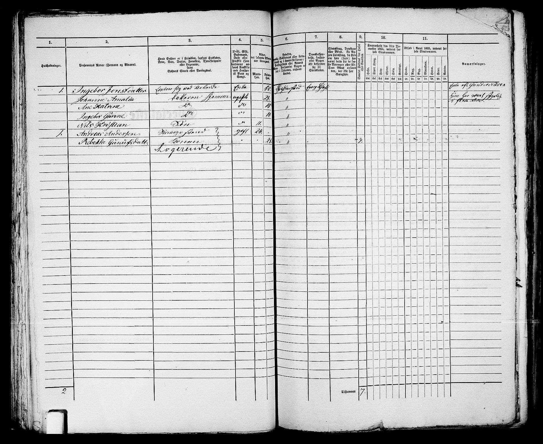 RA, 1865 census for Kristiansand, 1865, p. 1076