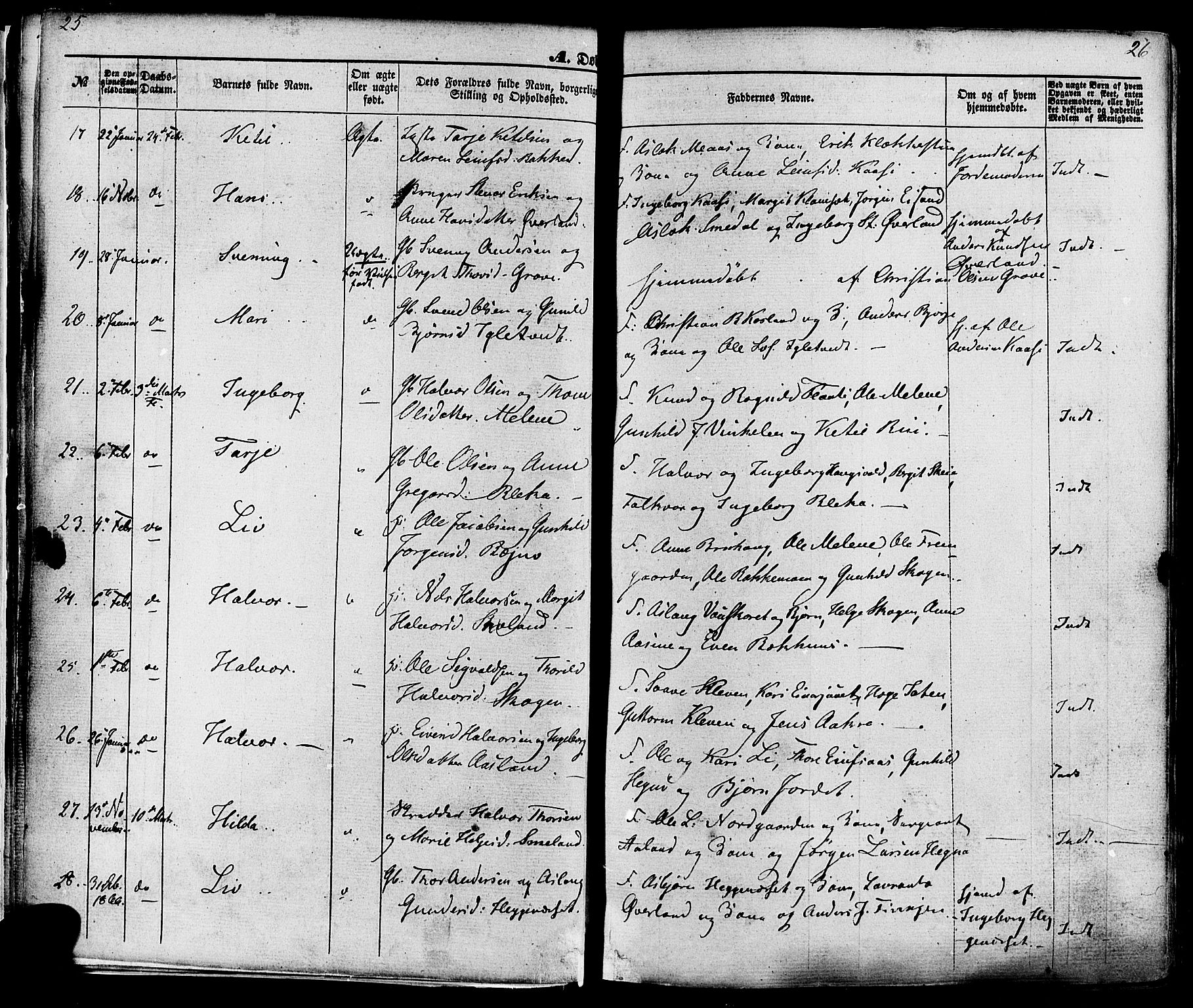 Seljord kirkebøker, AV/SAKO-A-20/F/Fa/L0013: Parish register (official) no. I 13, 1866-1876, p. 25-26