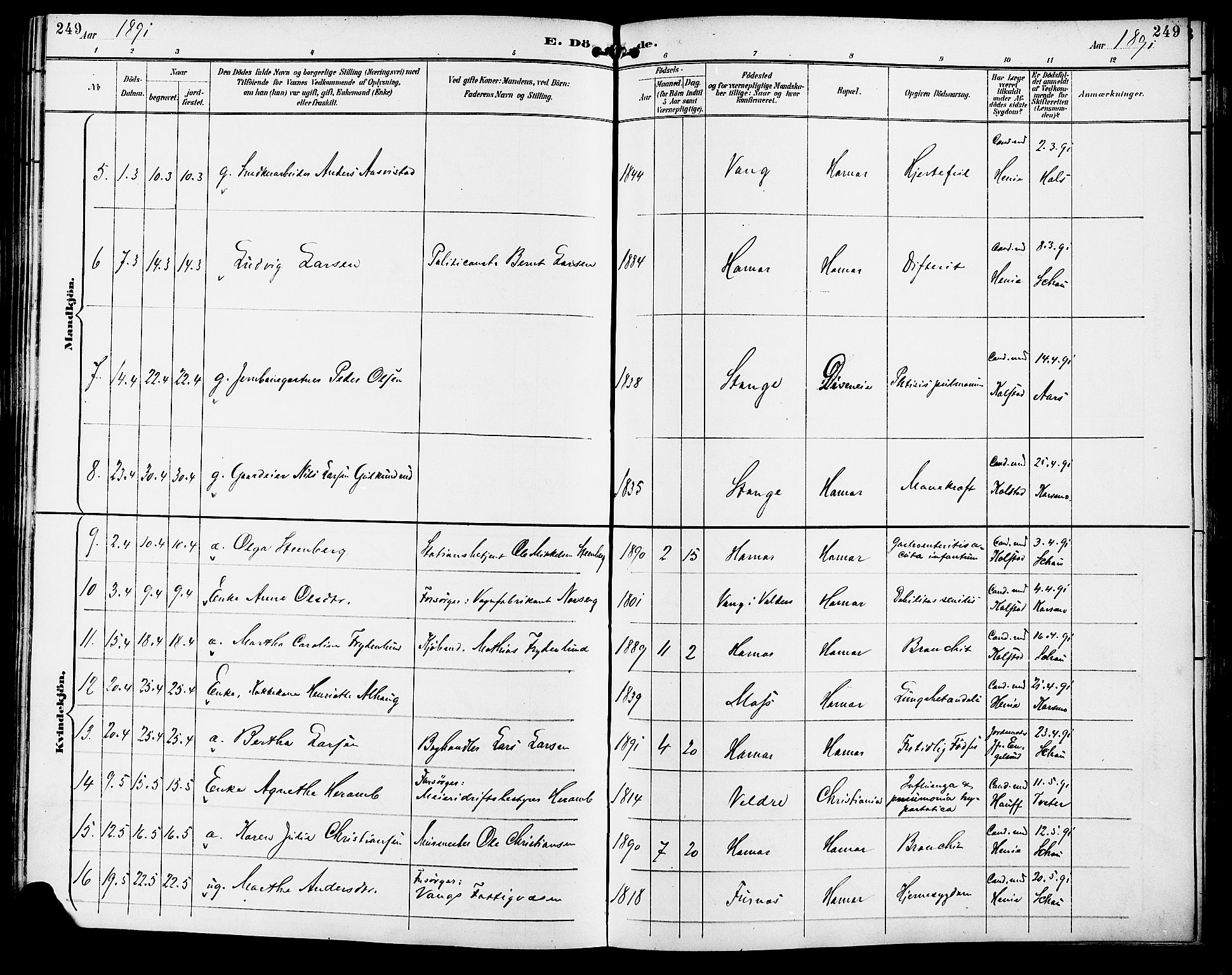 Vang prestekontor, Hedmark, SAH/PREST-008/H/Ha/Haa/L0017: Parish register (official) no. 17, 1890-1899, p. 249