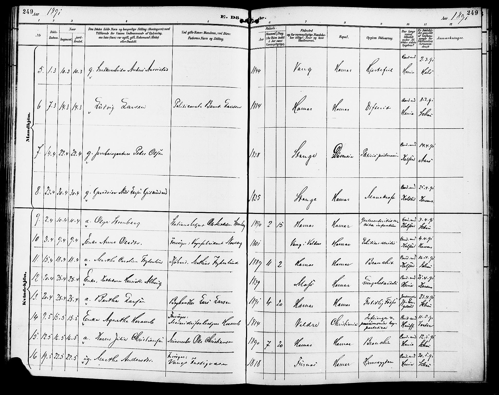 Vang prestekontor, Hedmark, AV/SAH-PREST-008/H/Ha/Haa/L0017: Parish register (official) no. 17, 1890-1899, p. 249