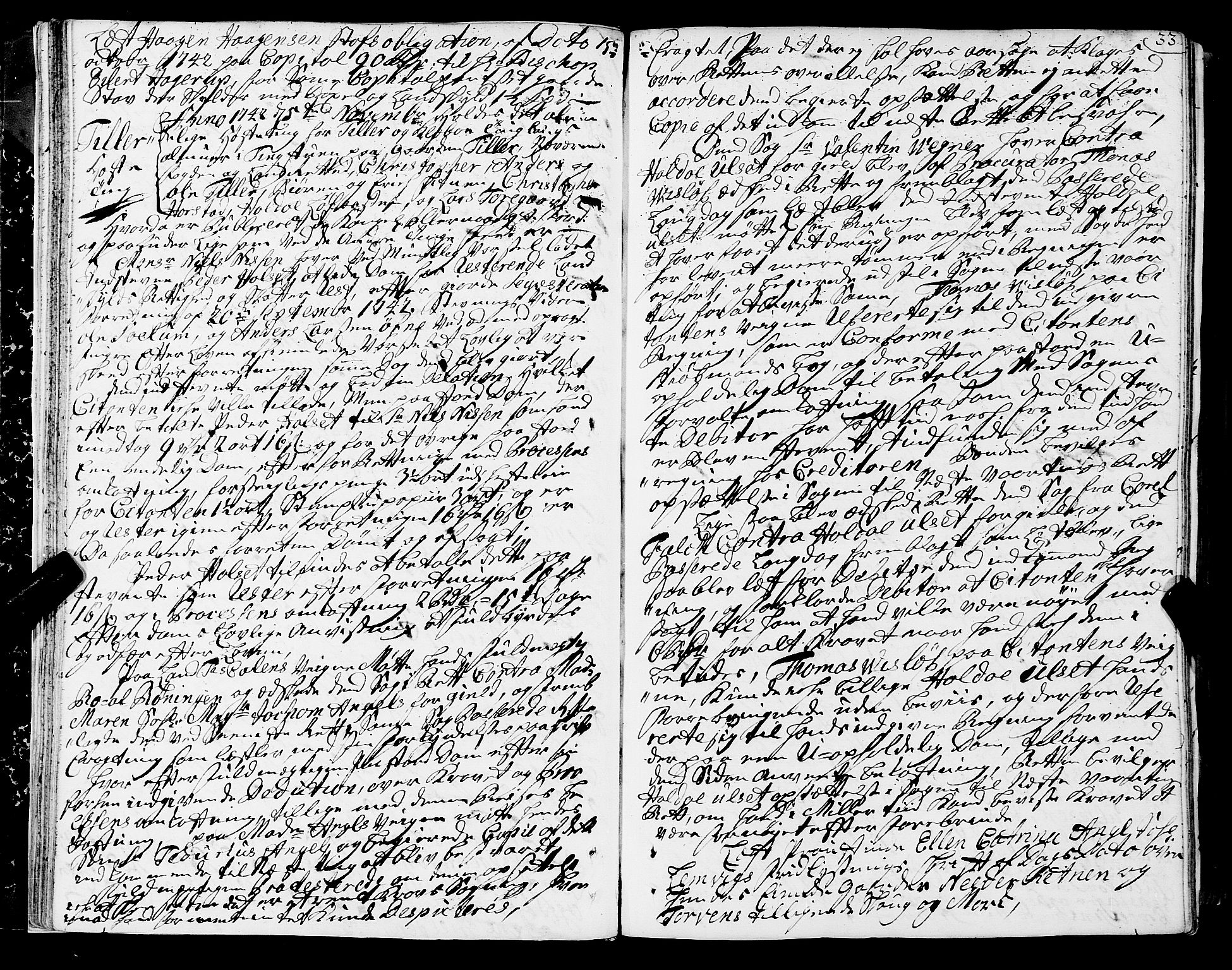 Strinda og Selbu sorenskriveri, AV/SAT-A-0015/1/1A/L0010: Tingbok 9, 1742-1747, p. 32b-33a