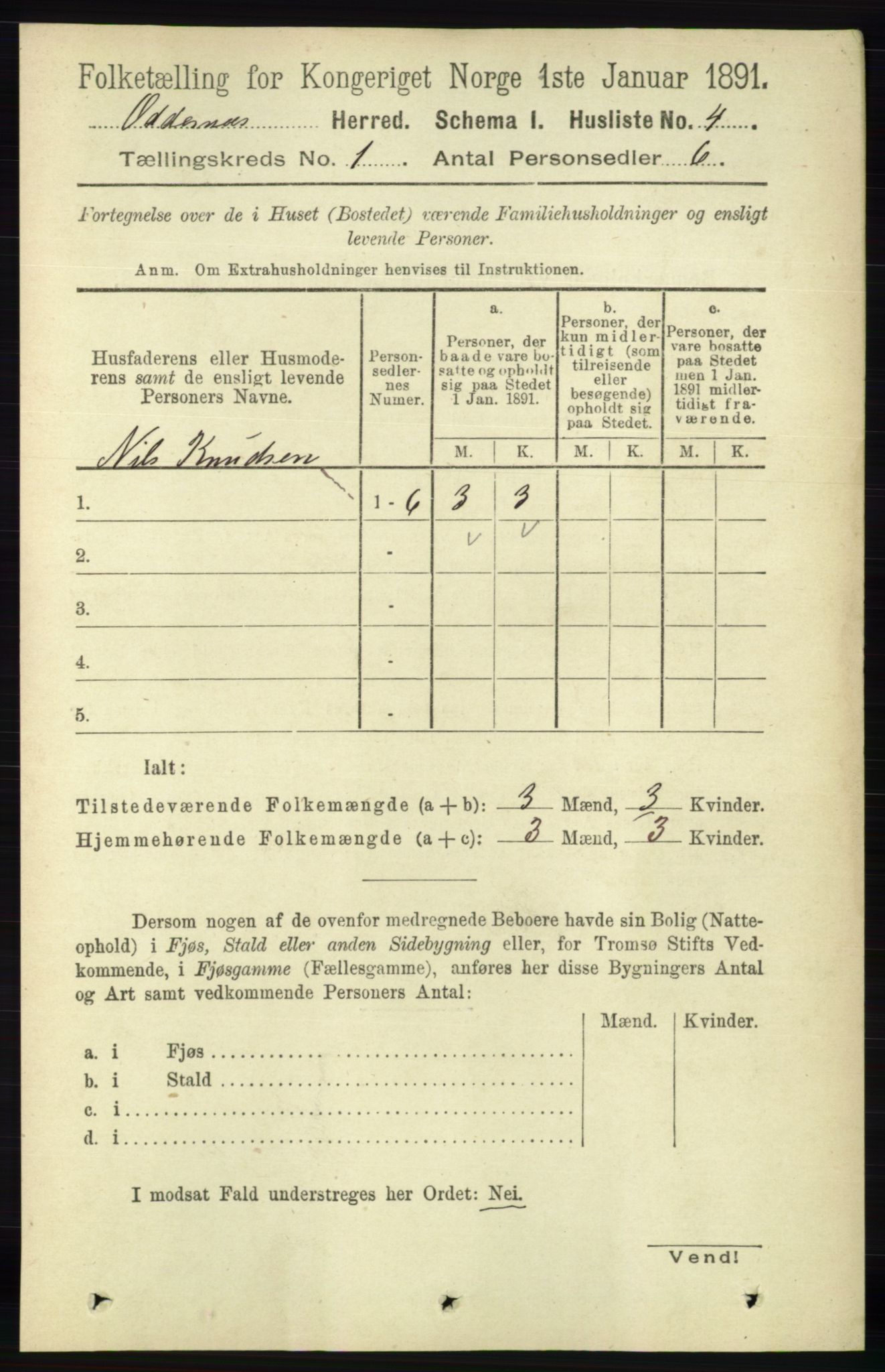 RA, 1891 census for 1012 Oddernes, 1891, p. 41