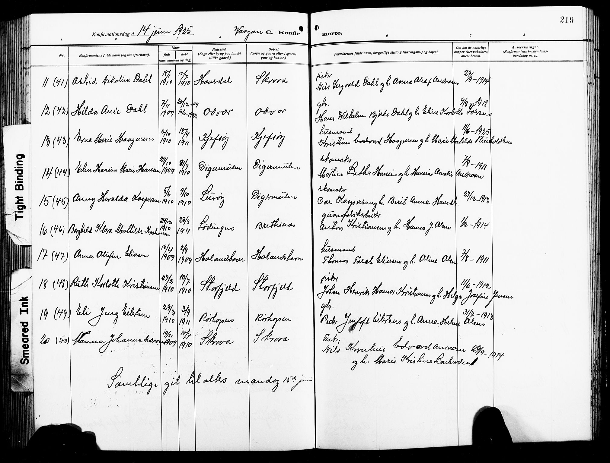 Ministerialprotokoller, klokkerbøker og fødselsregistre - Nordland, AV/SAT-A-1459/874/L1080: Parish register (copy) no. 874C09, 1915-1925, p. 219