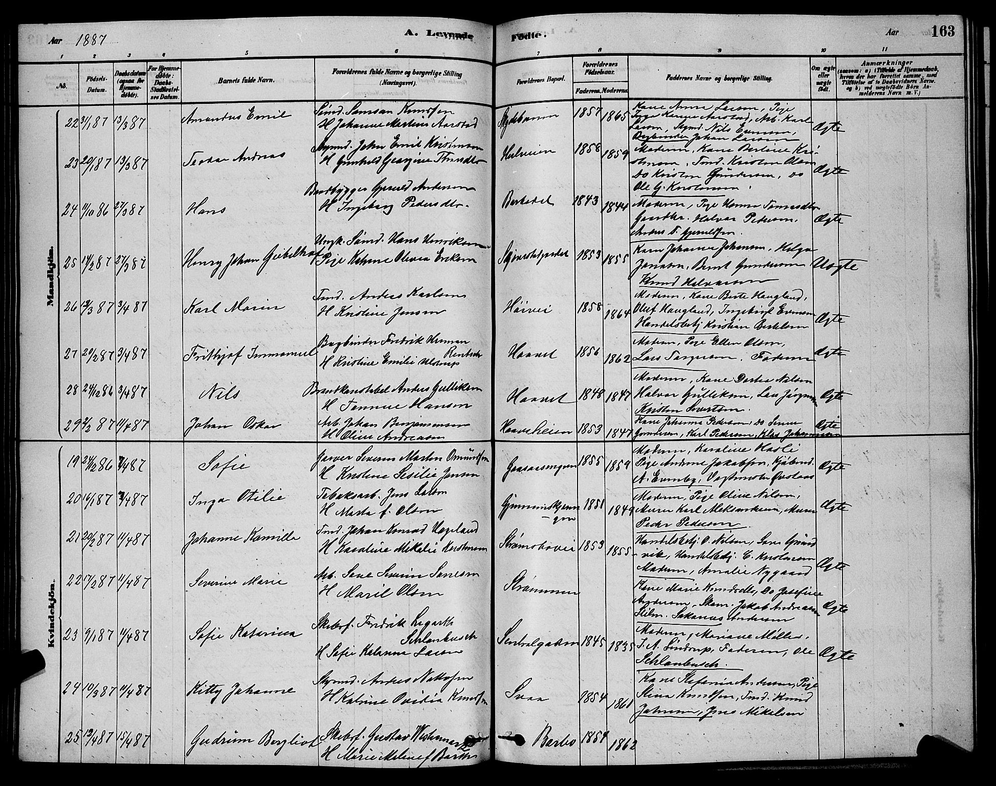 Barbu sokneprestkontor, AV/SAK-1111-0003/F/Fb/L0001: Parish register (copy) no. B 1, 1878-1890, p. 163