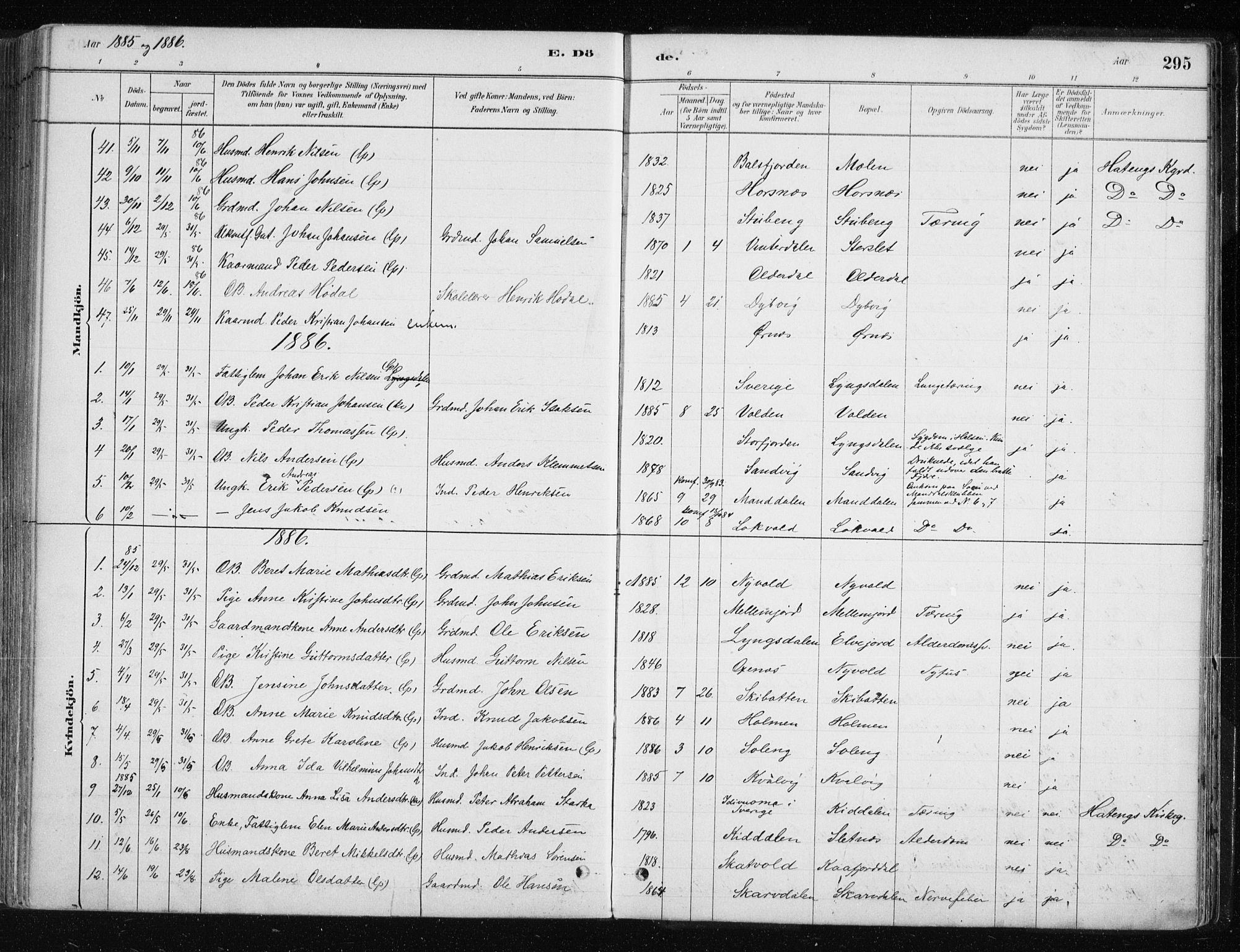 Lyngen sokneprestembete, SATØ/S-1289/H/He/Hea/L0007kirke: Parish register (official) no. 7, 1879-1890, p. 295