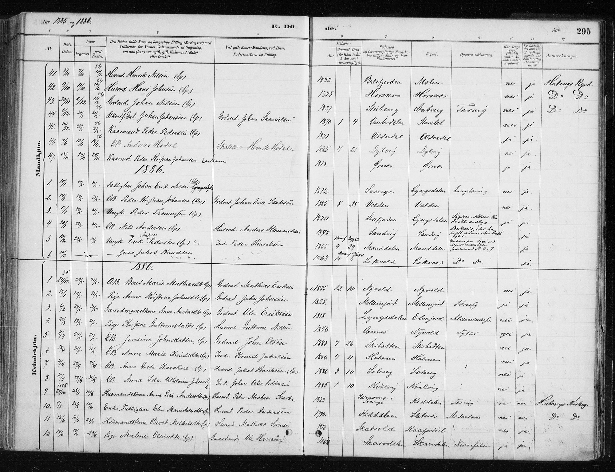 Lyngen sokneprestembete, AV/SATØ-S-1289/H/He/Hea/L0007kirke: Parish register (official) no. 7, 1879-1890, p. 295