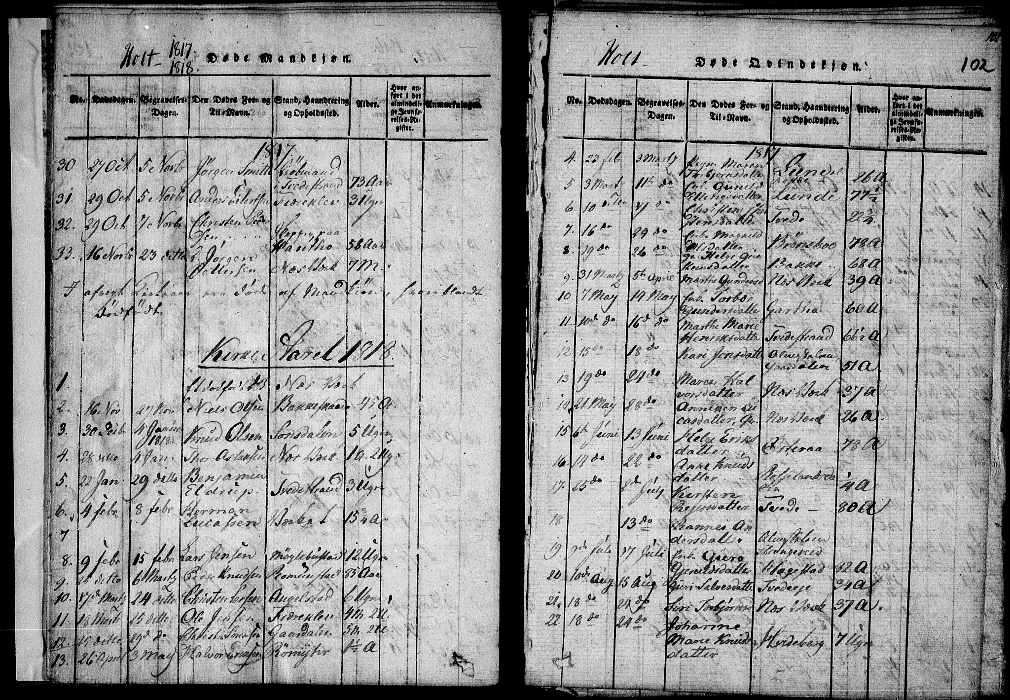 Holt sokneprestkontor, AV/SAK-1111-0021/F/Fa/L0005: Parish register (official) no. A 5, 1813-1821, p. 102