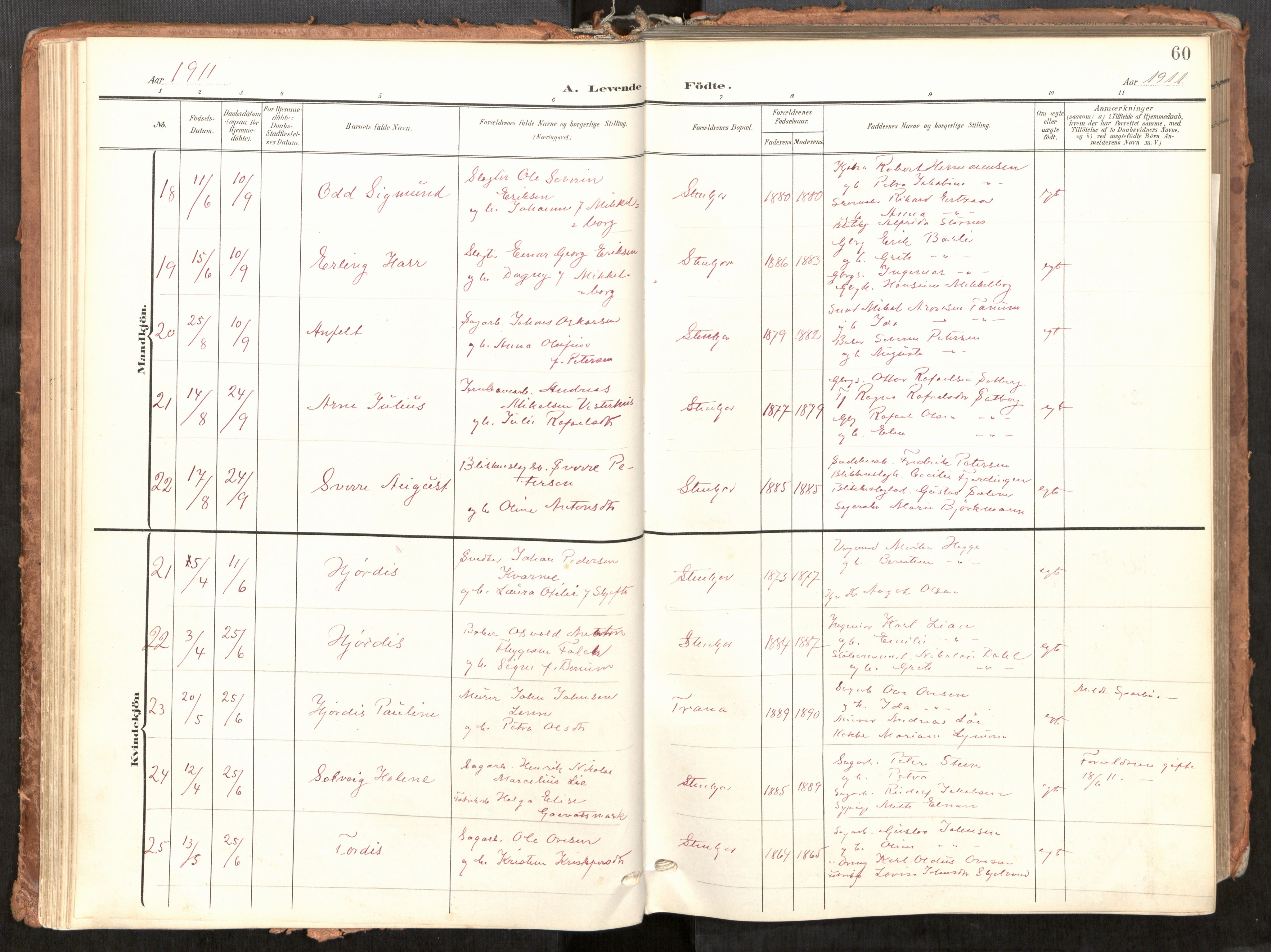 Steinkjer sokneprestkontor, AV/SAT-A-1541/01/H/Ha/Haa/L0001: Parish register (official) no. 1, 1904-1912, p. 60