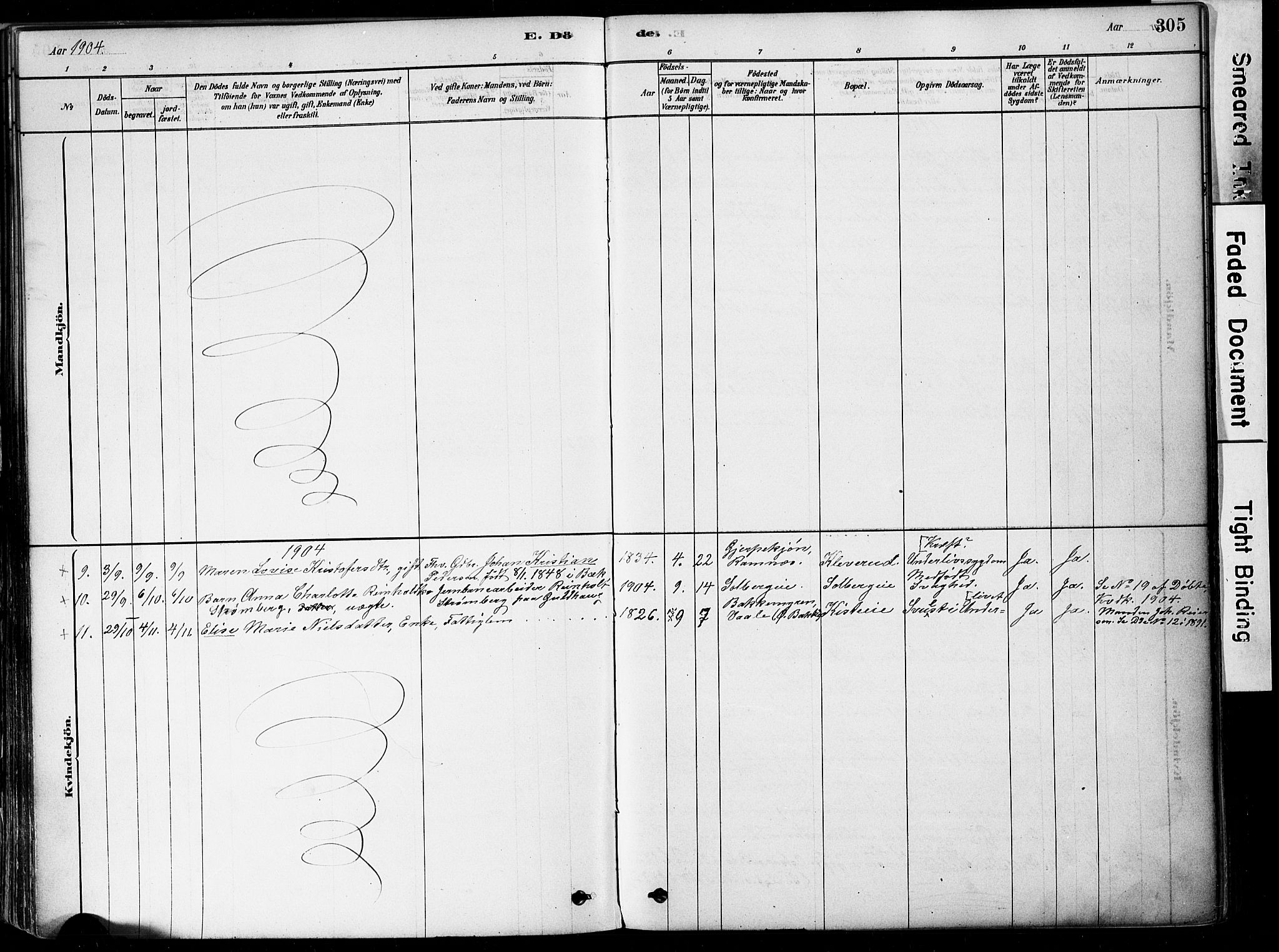 Botne kirkebøker, SAKO/A-340/F/Fa/L0007: Parish register (official) no. I 7, 1878-1910, p. 305