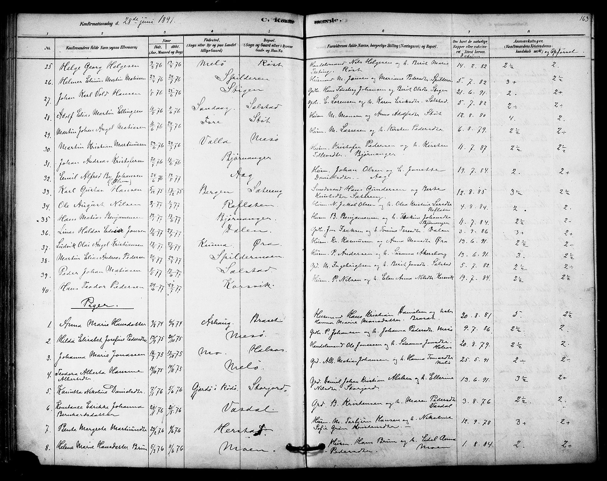 Ministerialprotokoller, klokkerbøker og fødselsregistre - Nordland, AV/SAT-A-1459/843/L0626: Parish register (official) no. 843A01, 1878-1907, p. 163