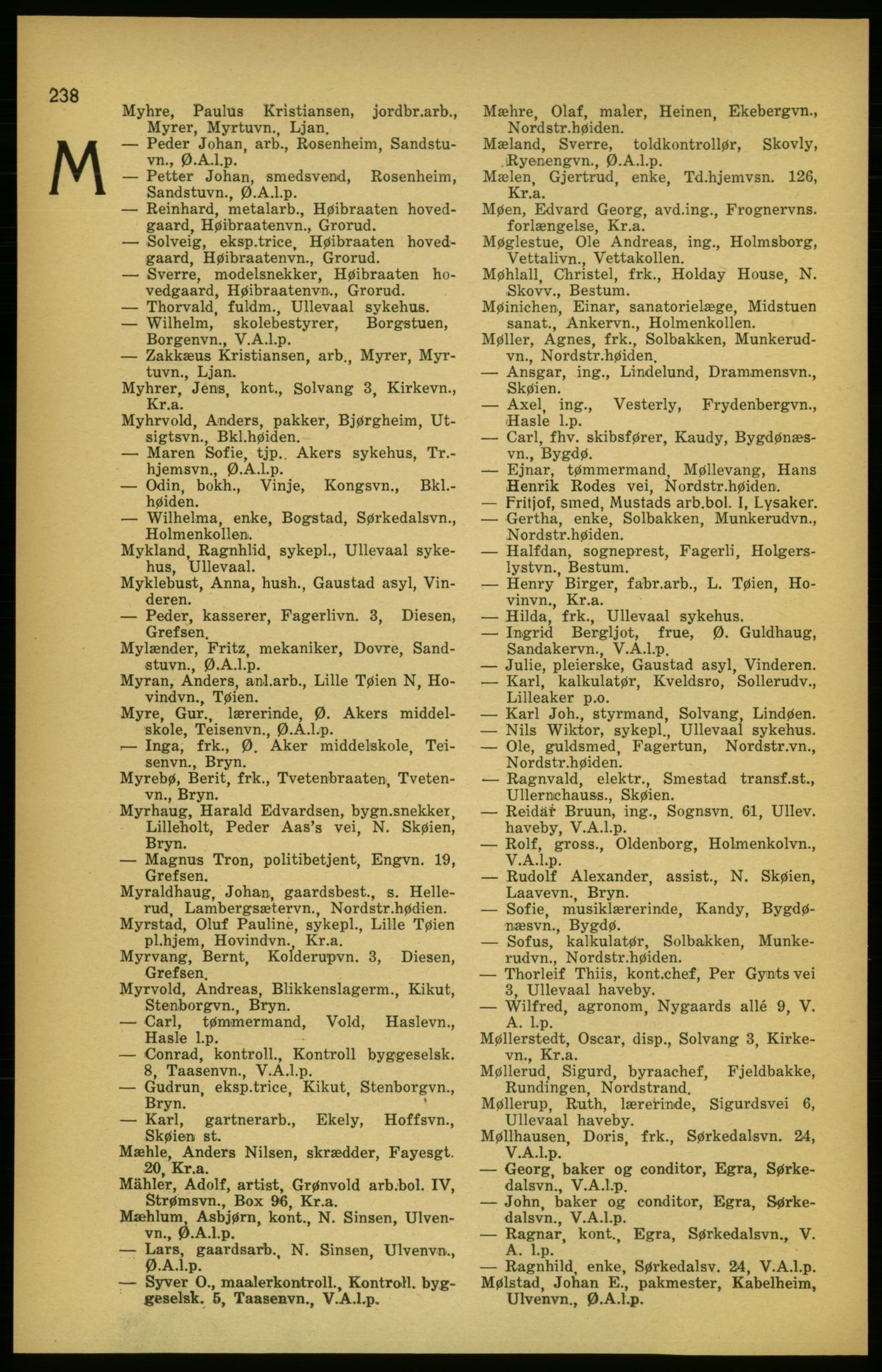 Aker adressebok/adressekalender, PUBL/001/A/003: Akers adressekalender, 1924-1925, p. 238