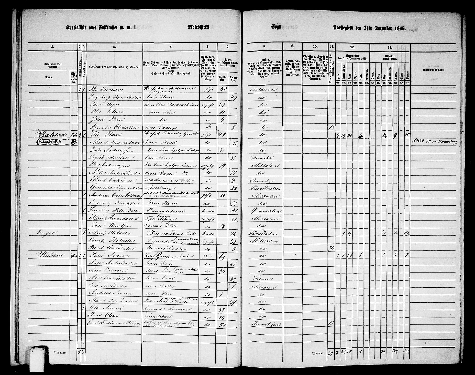 RA, 1865 census for Meldal, 1865, p. 14