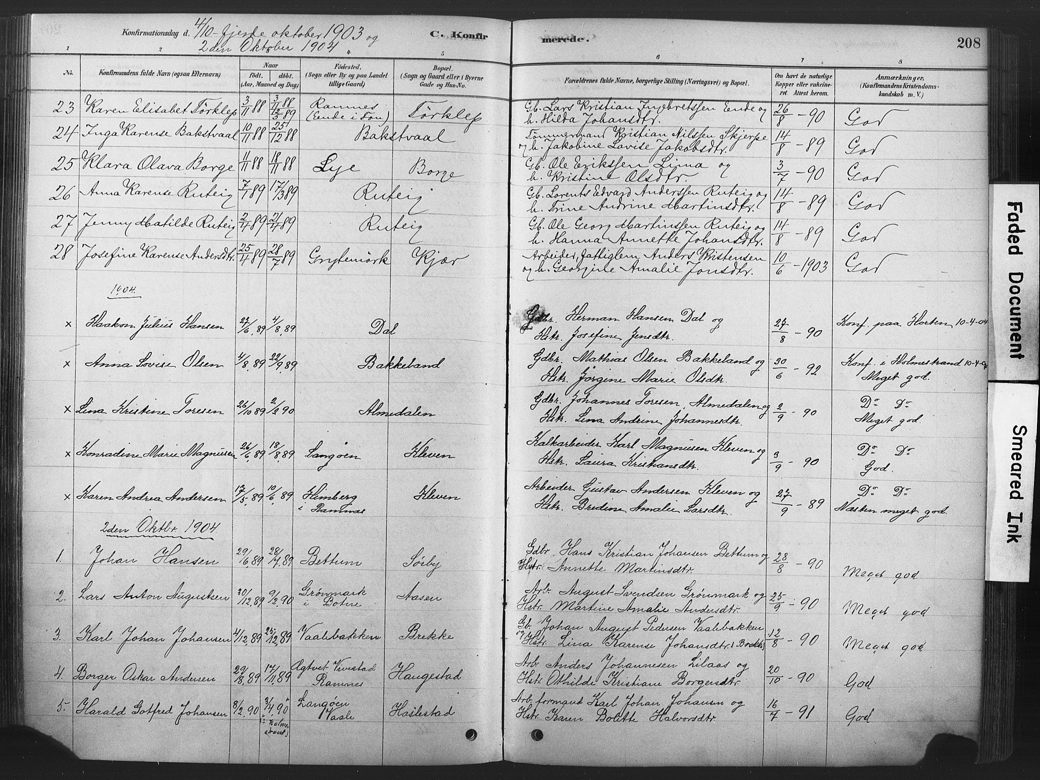 Våle kirkebøker, SAKO/A-334/F/Fa/L0011: Parish register (official) no. I 11, 1878-1906, p. 208