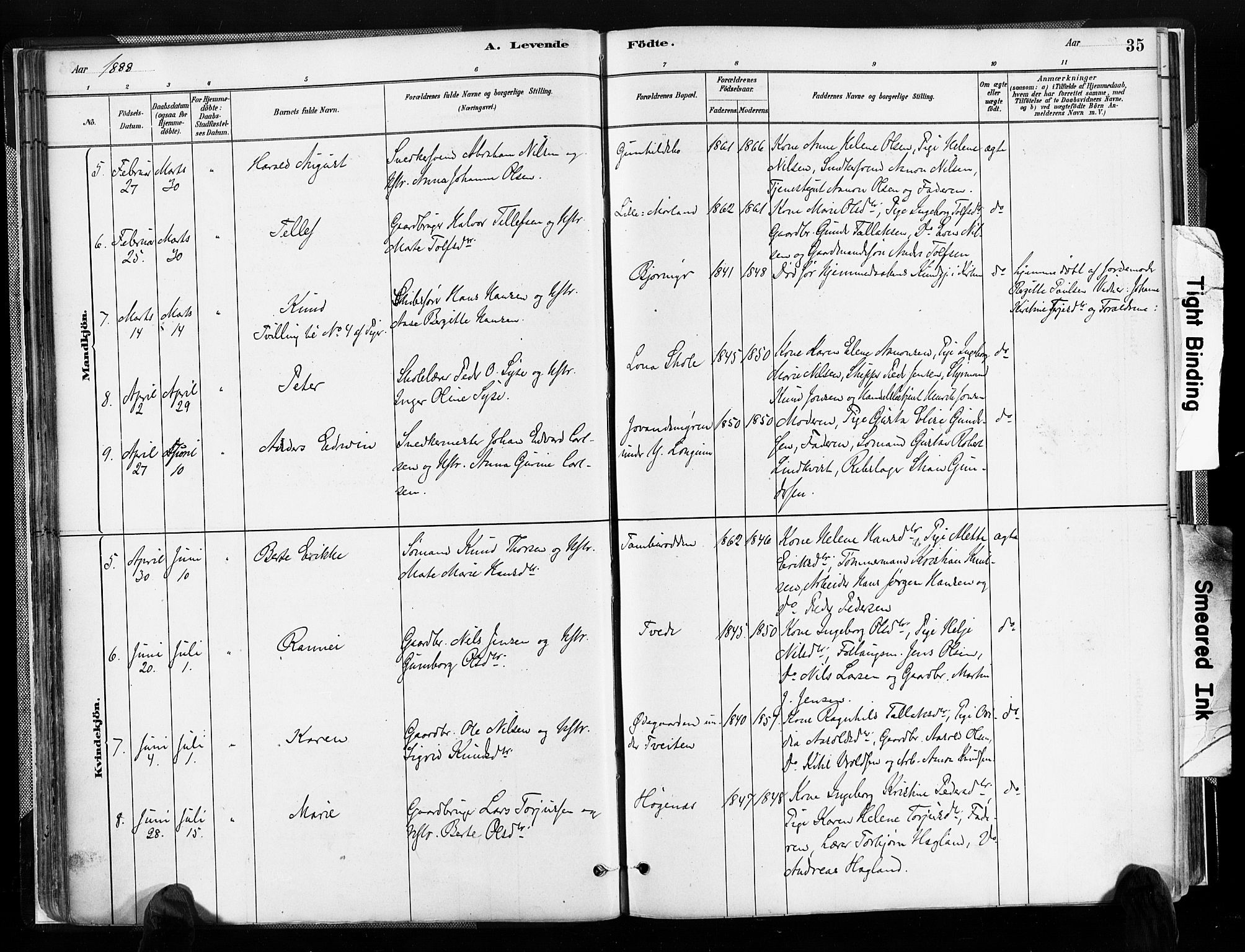 Austre Moland sokneprestkontor, AV/SAK-1111-0001/F/Fa/Faa/L0010: Parish register (official) no. A 10, 1880-1904, p. 35