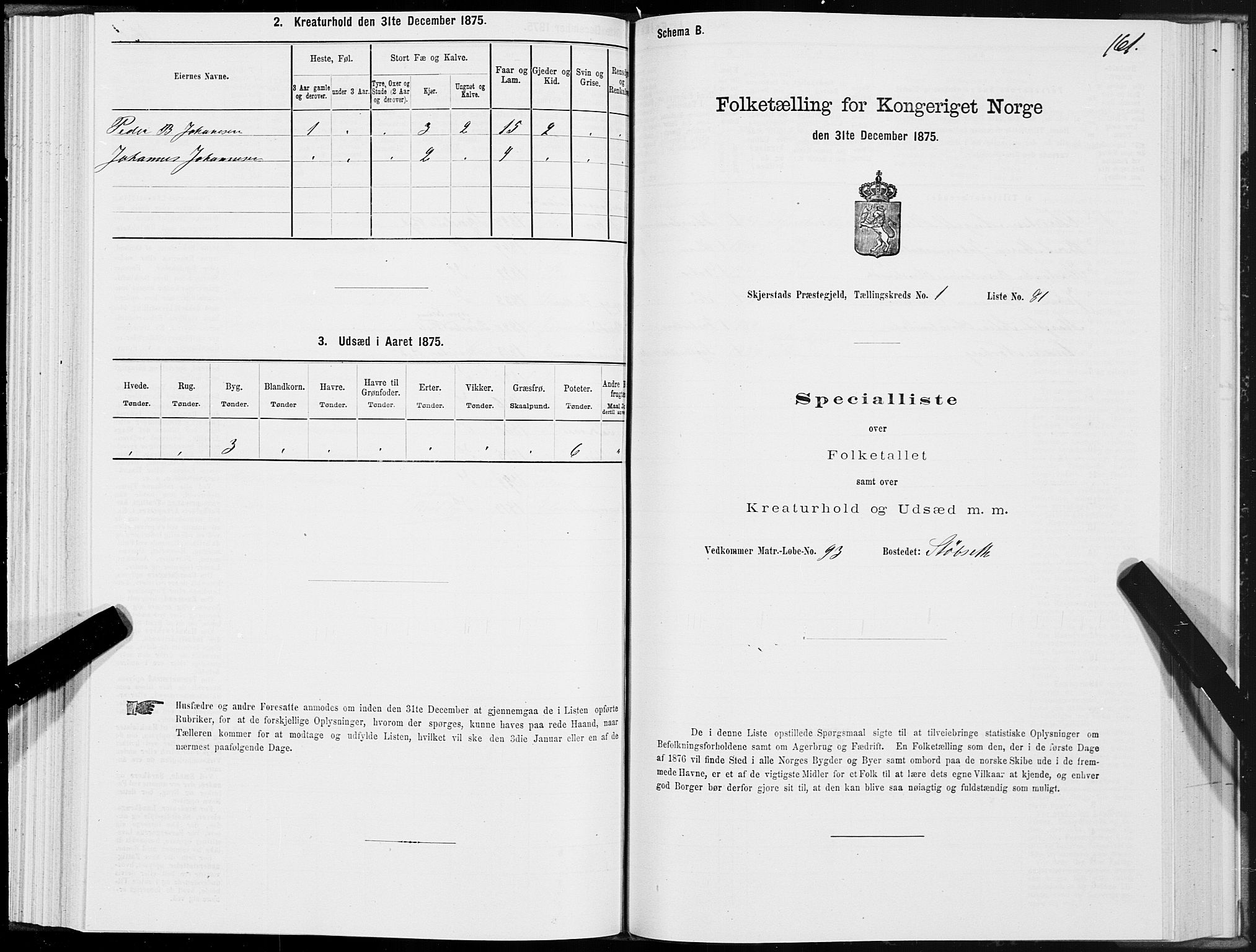 SAT, 1875 census for 1842P Skjerstad, 1875, p. 1161