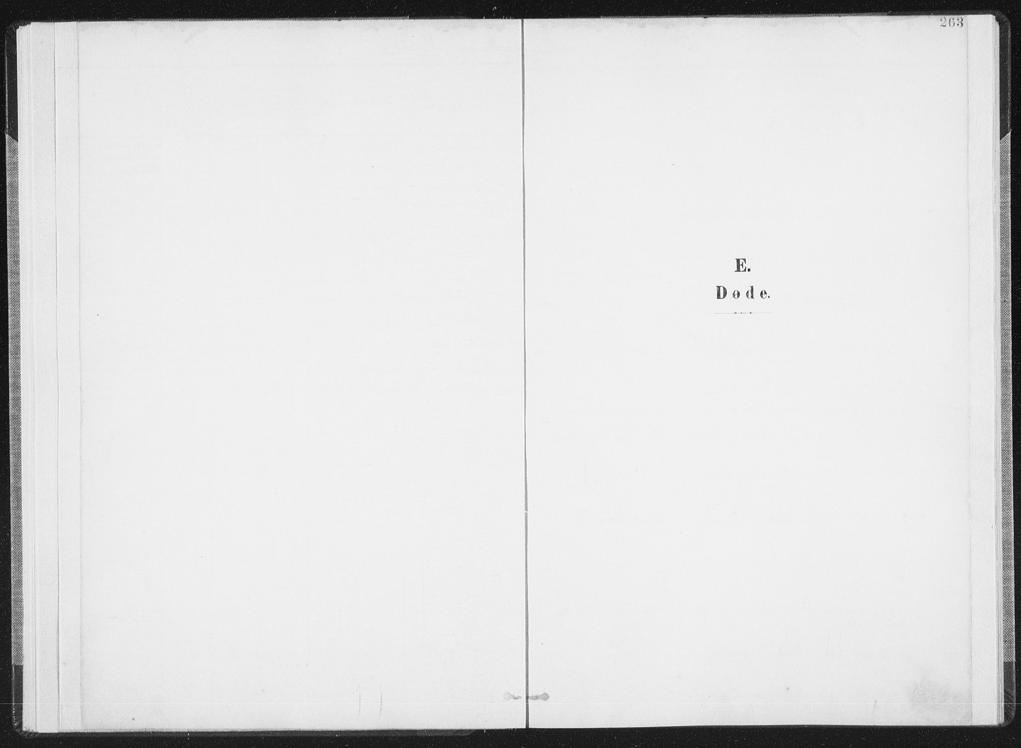 Ministerialprotokoller, klokkerbøker og fødselsregistre - Nordland, AV/SAT-A-1459/805/L0103: Parish register (official) no. 805A08II, 1900-1909, p. 263
