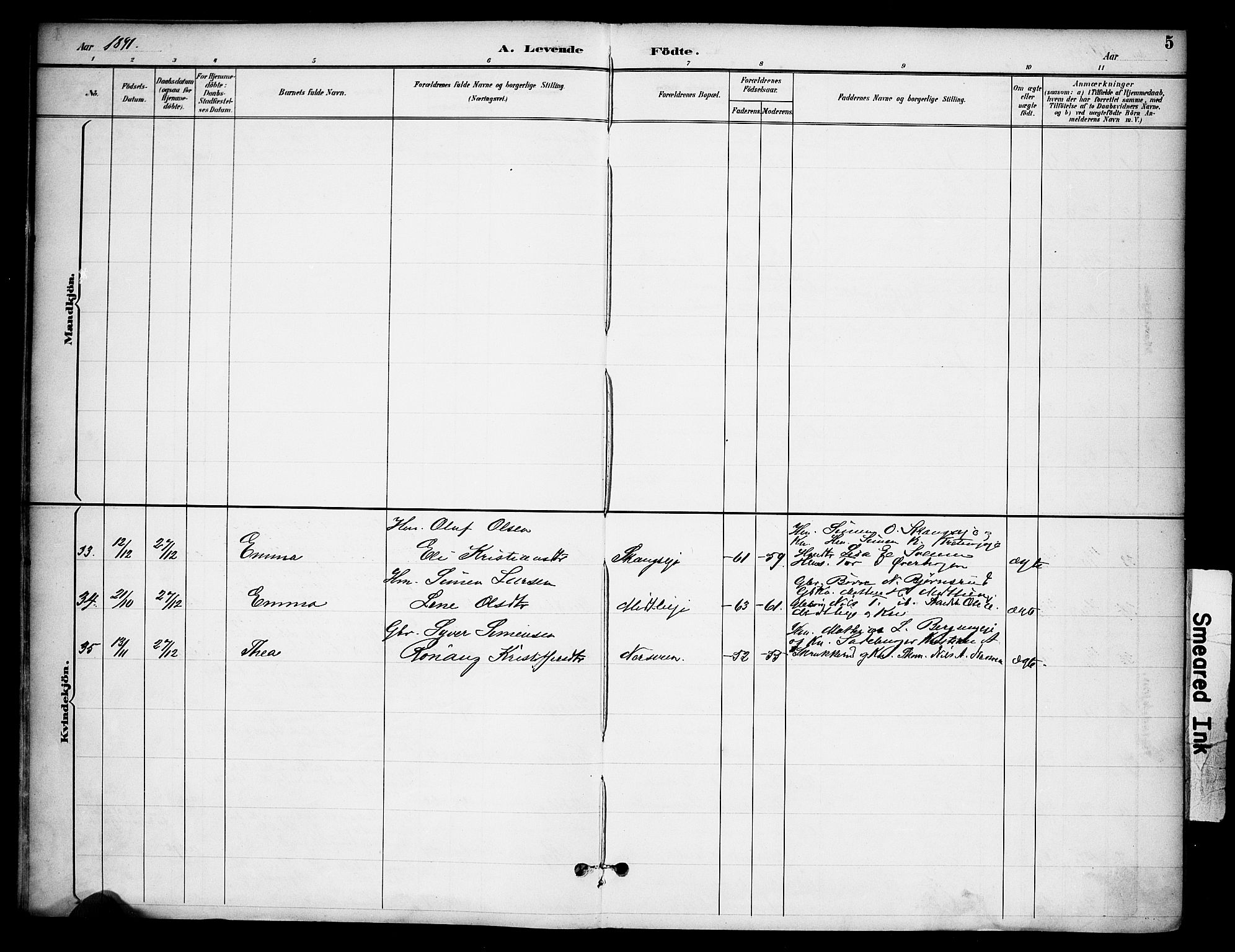 Ringsaker prestekontor, AV/SAH-PREST-014/K/Ka/L0015: Parish register (official) no. 15, 1891-1904, p. 5