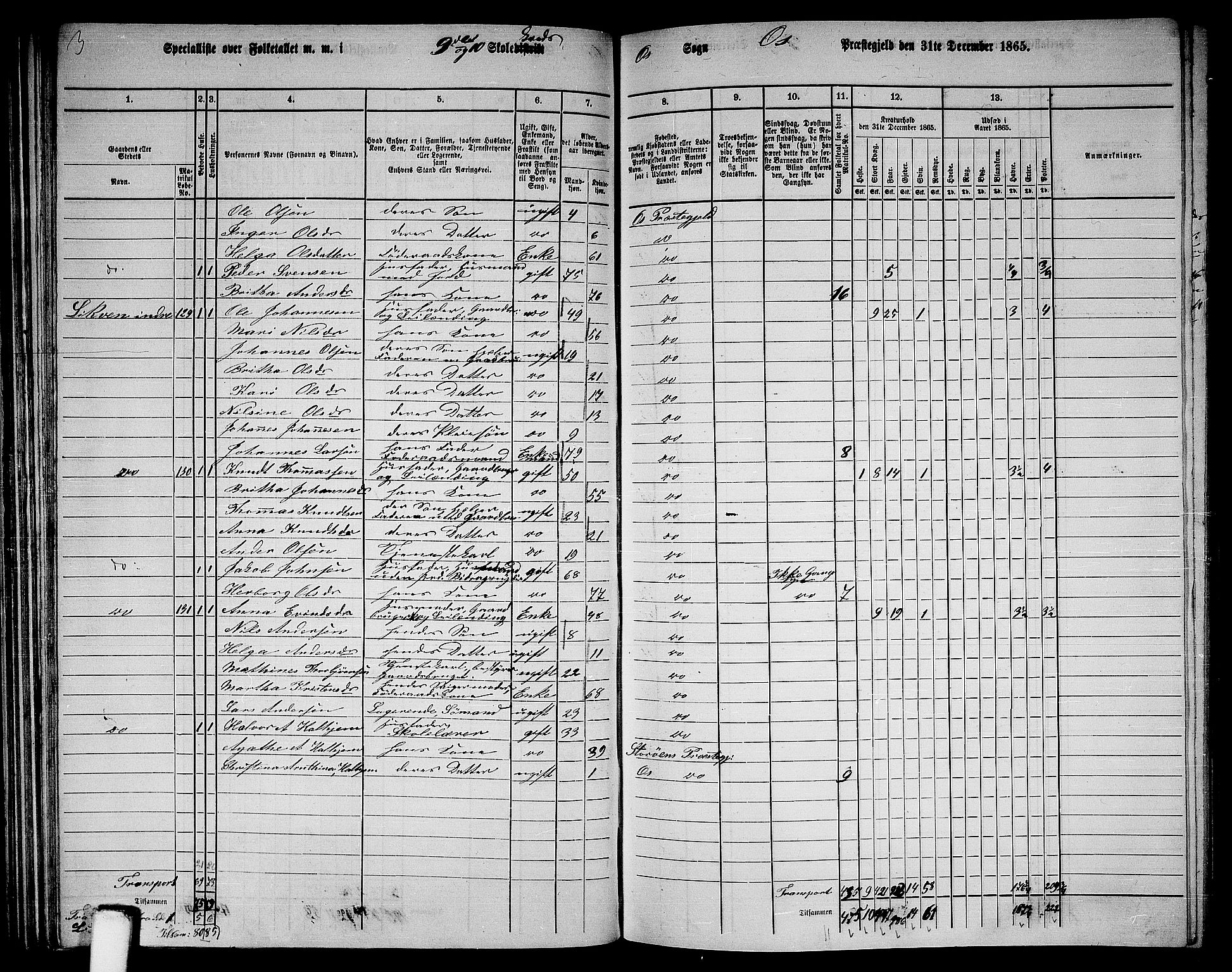 RA, 1865 census for Os, 1865, p. 62