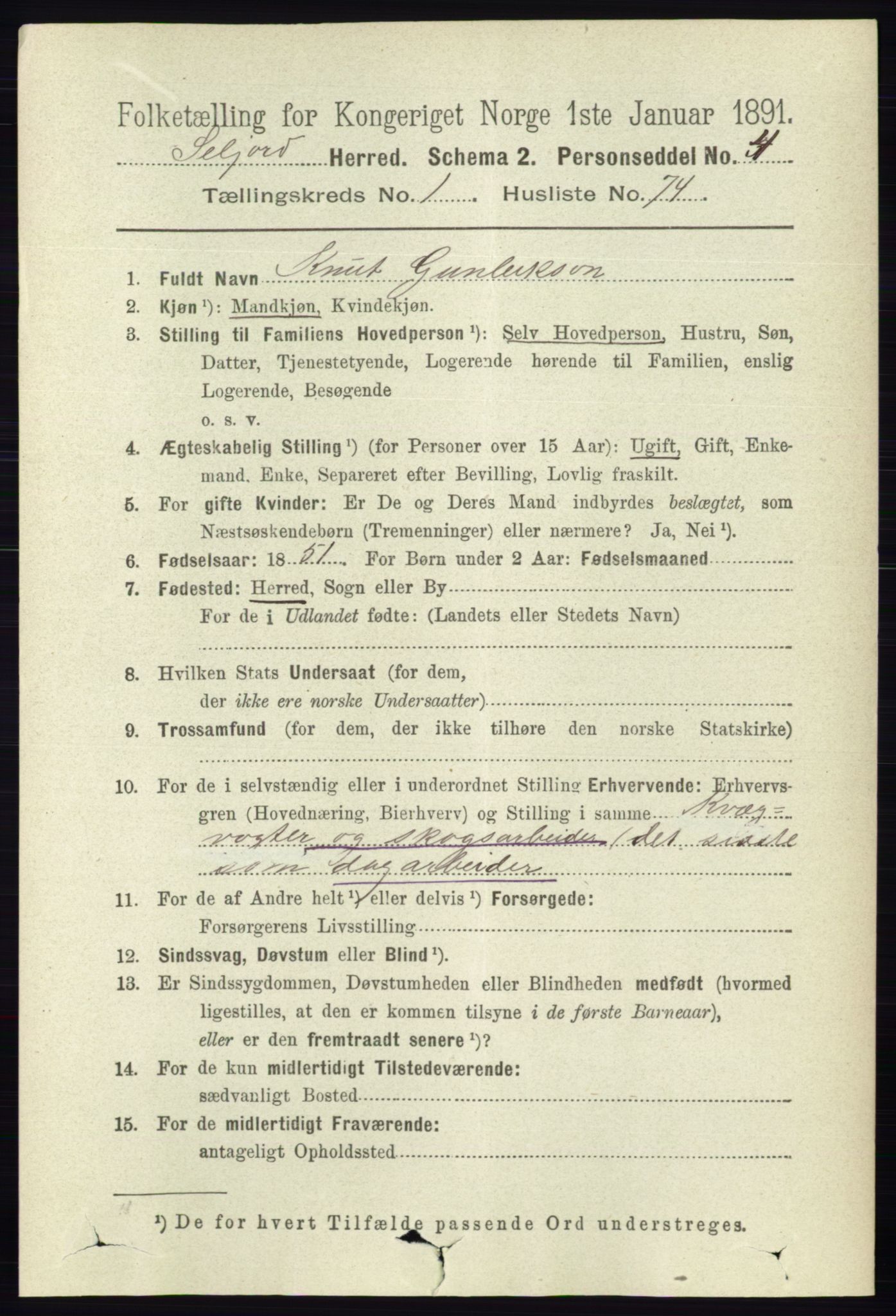 RA, 1891 census for 0828 Seljord, 1891, p. 493