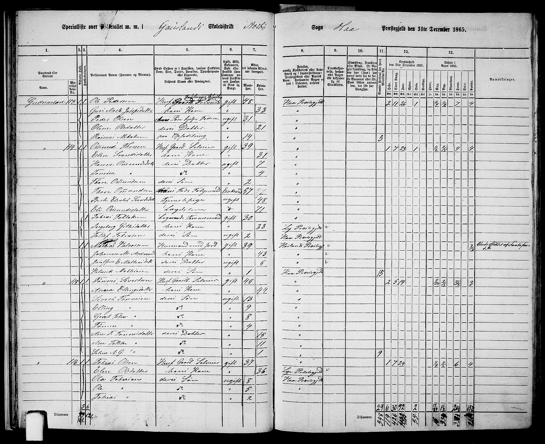 RA, 1865 census for Hå, 1865, p. 29