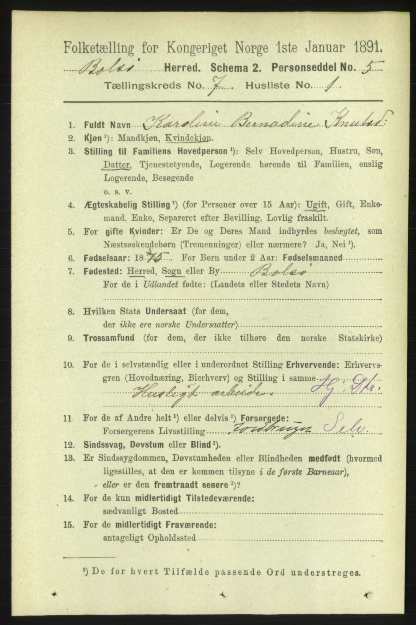 RA, 1891 census for 1544 Bolsøy, 1891, p. 4195