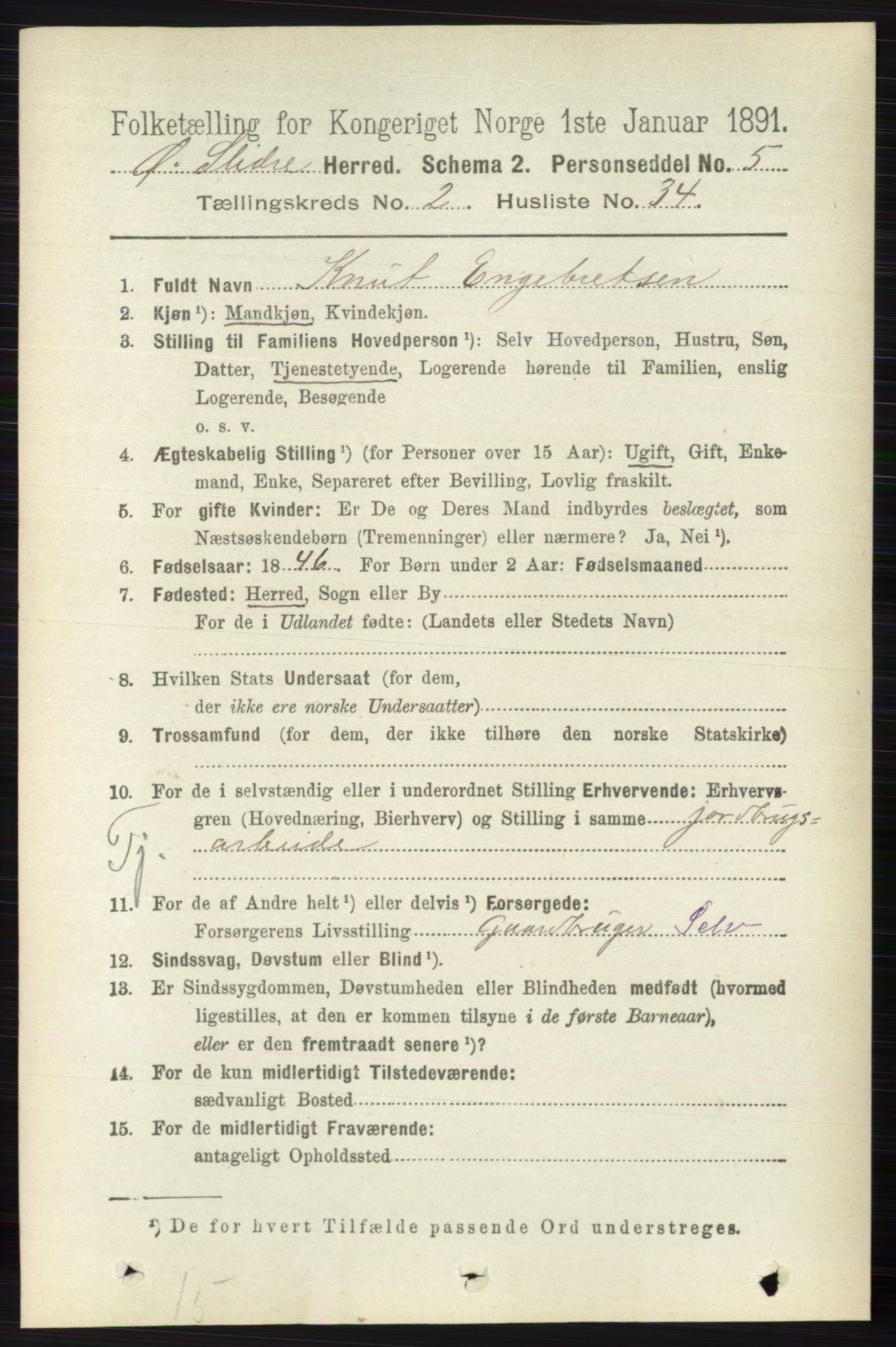 RA, 1891 census for 0544 Øystre Slidre, 1891, p. 438