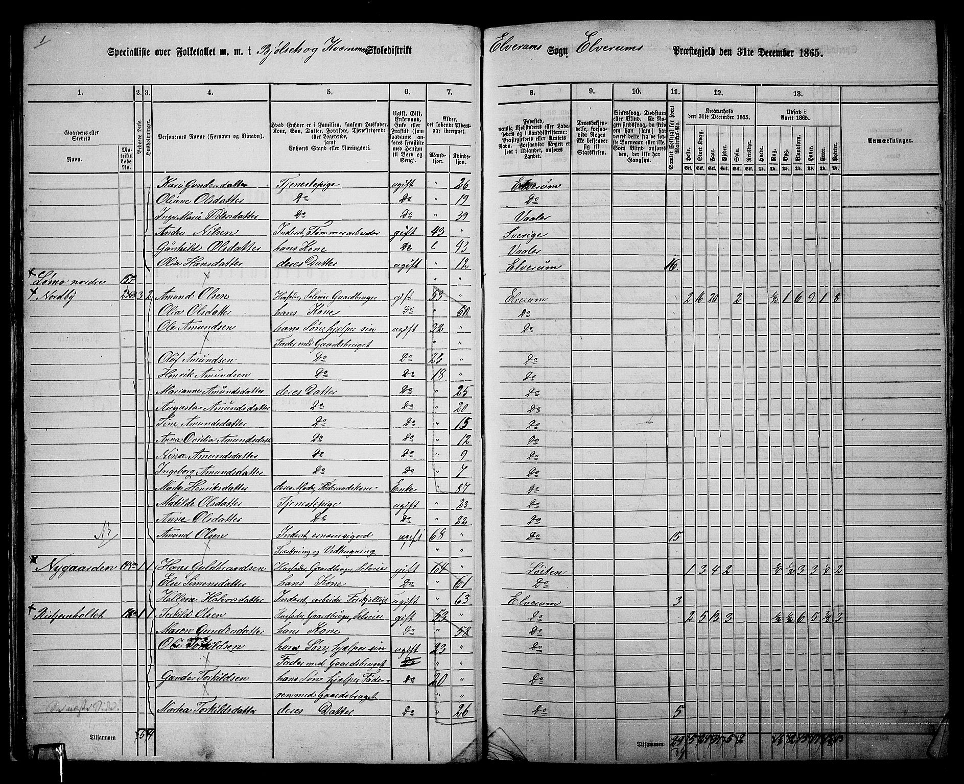 RA, 1865 census for Elverum, 1865, p. 25