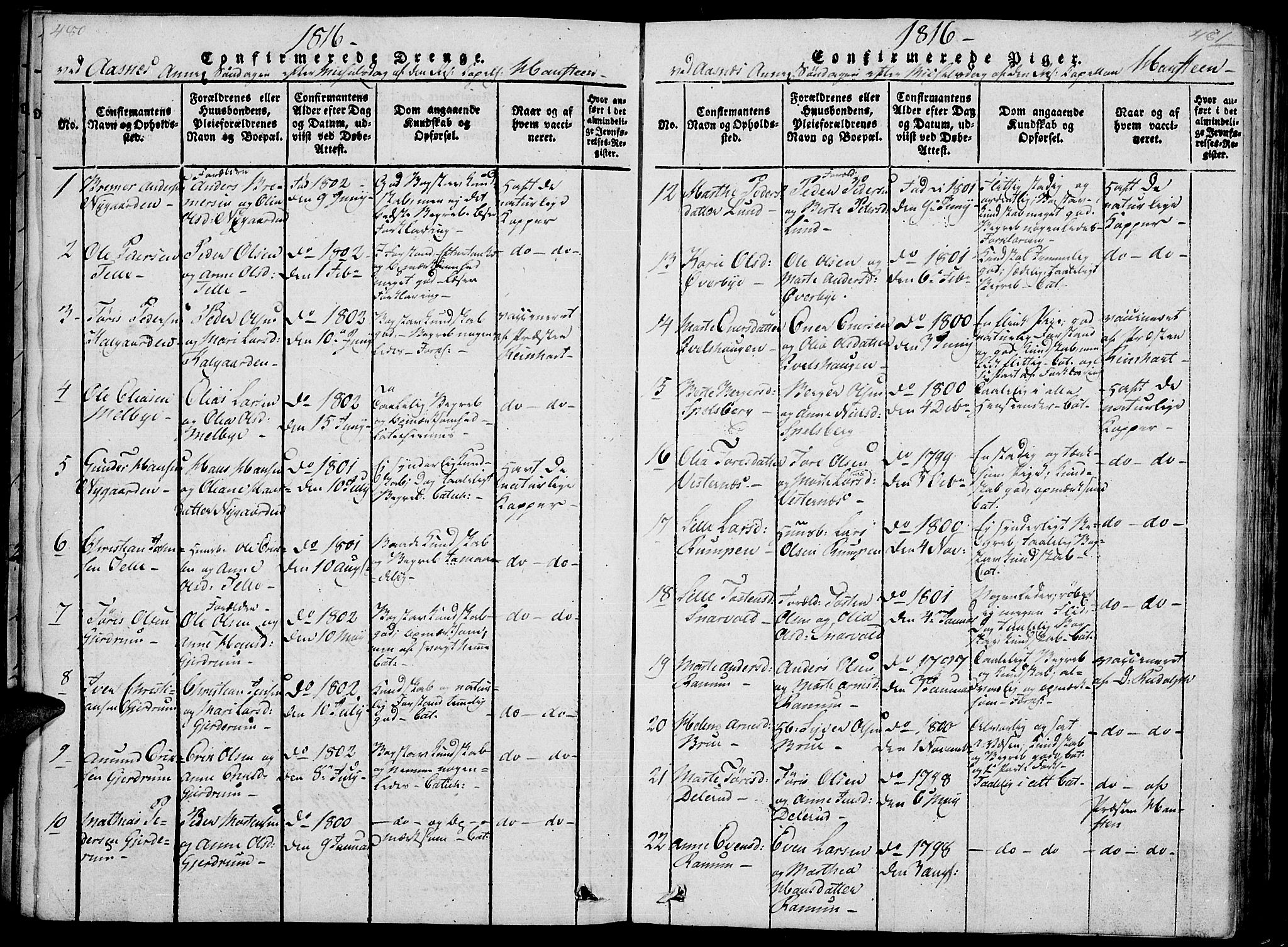 Hof prestekontor, AV/SAH-PREST-038/H/Ha/Haa/L0005: Parish register (official) no. 5, 1816-1822, p. 480-481