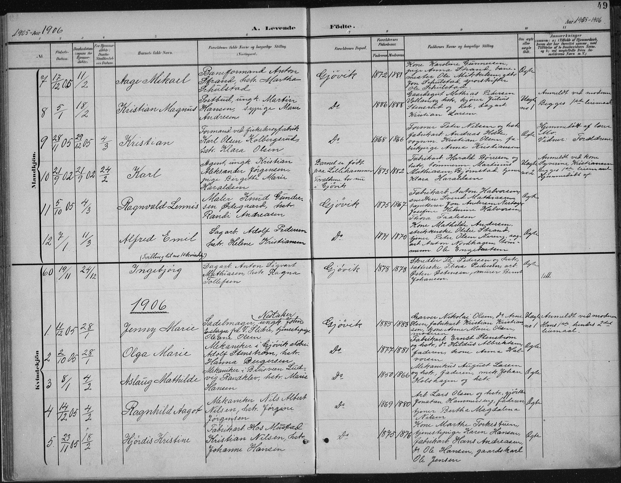 Vardal prestekontor, SAH/PREST-100/H/Ha/Haa/L0013: Parish register (official) no. 13, 1901-1911, p. 49