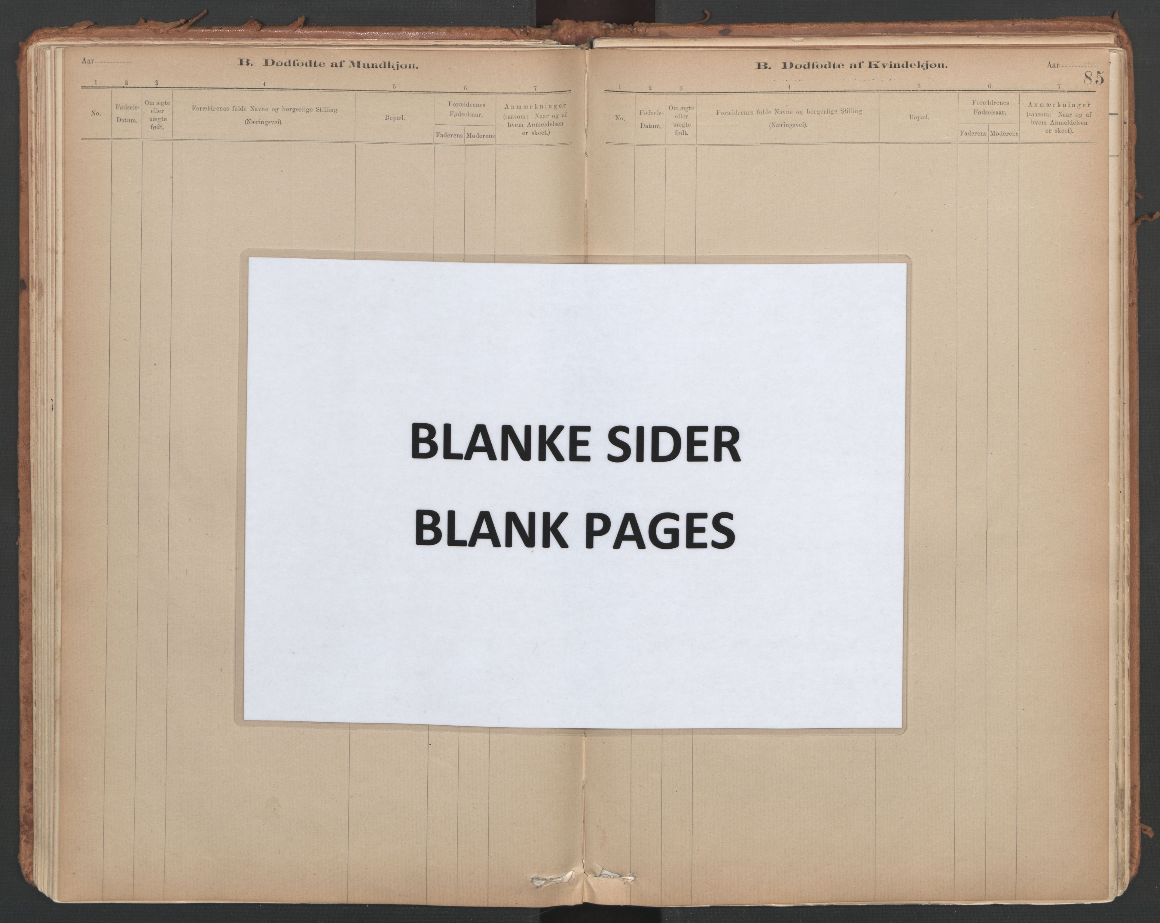 Ministerialprotokoller, klokkerbøker og fødselsregistre - Sør-Trøndelag, SAT/A-1456/639/L0572: Parish register (official) no. 639A01, 1890-1920, p. 85