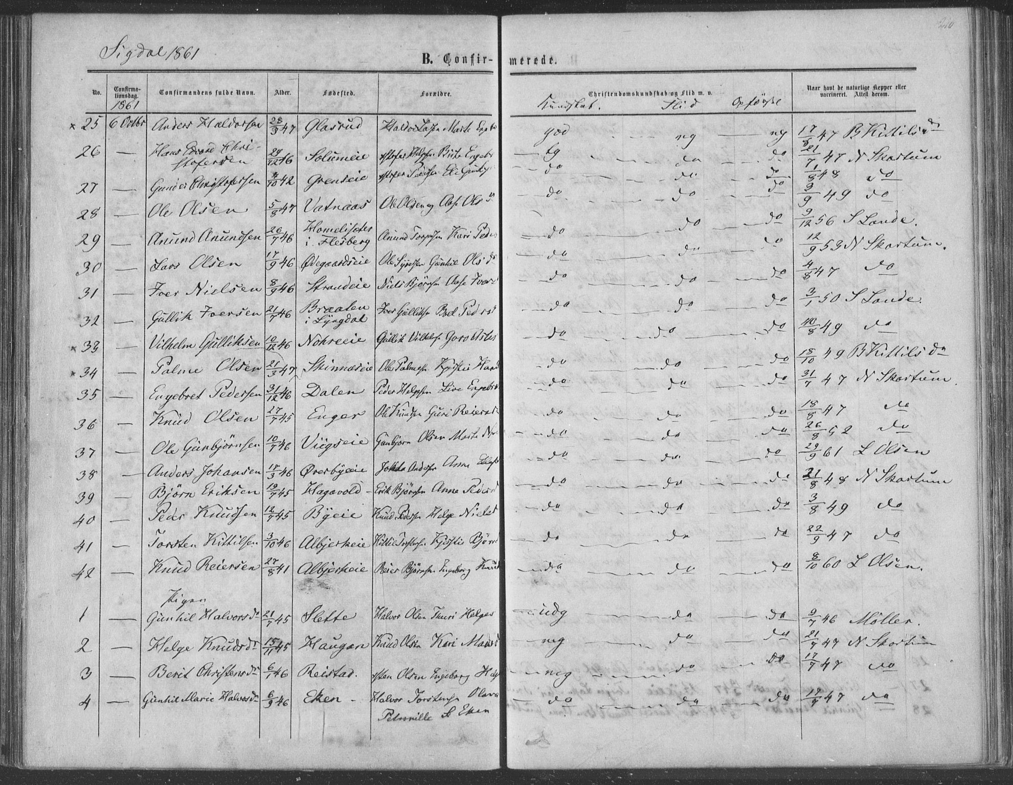 Sigdal kirkebøker, AV/SAKO-A-245/F/Fa/L0009a: Parish register (official) no. I 9A, 1860-1871, p. 210