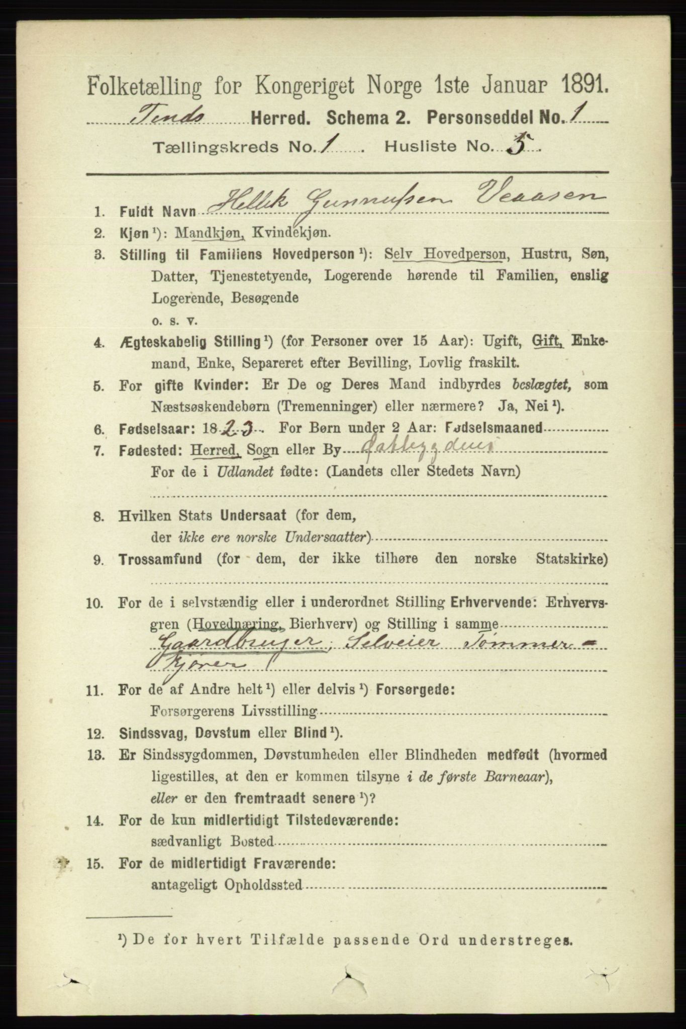 RA, 1891 census for 0826 Tinn, 1891, p. 74