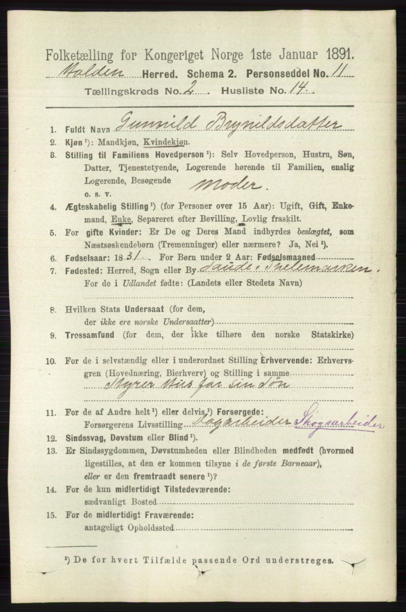 RA, 1891 census for 0819 Holla, 1891, p. 800