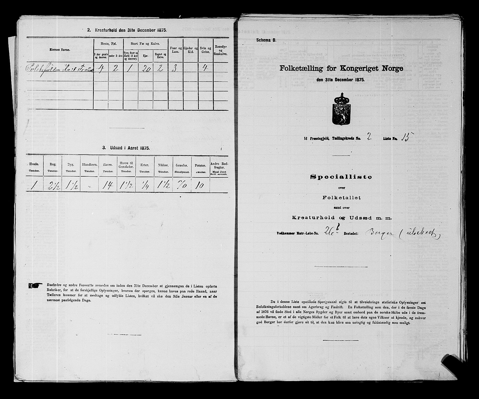 RA, 1875 census for 0117P Idd, 1875, p. 171