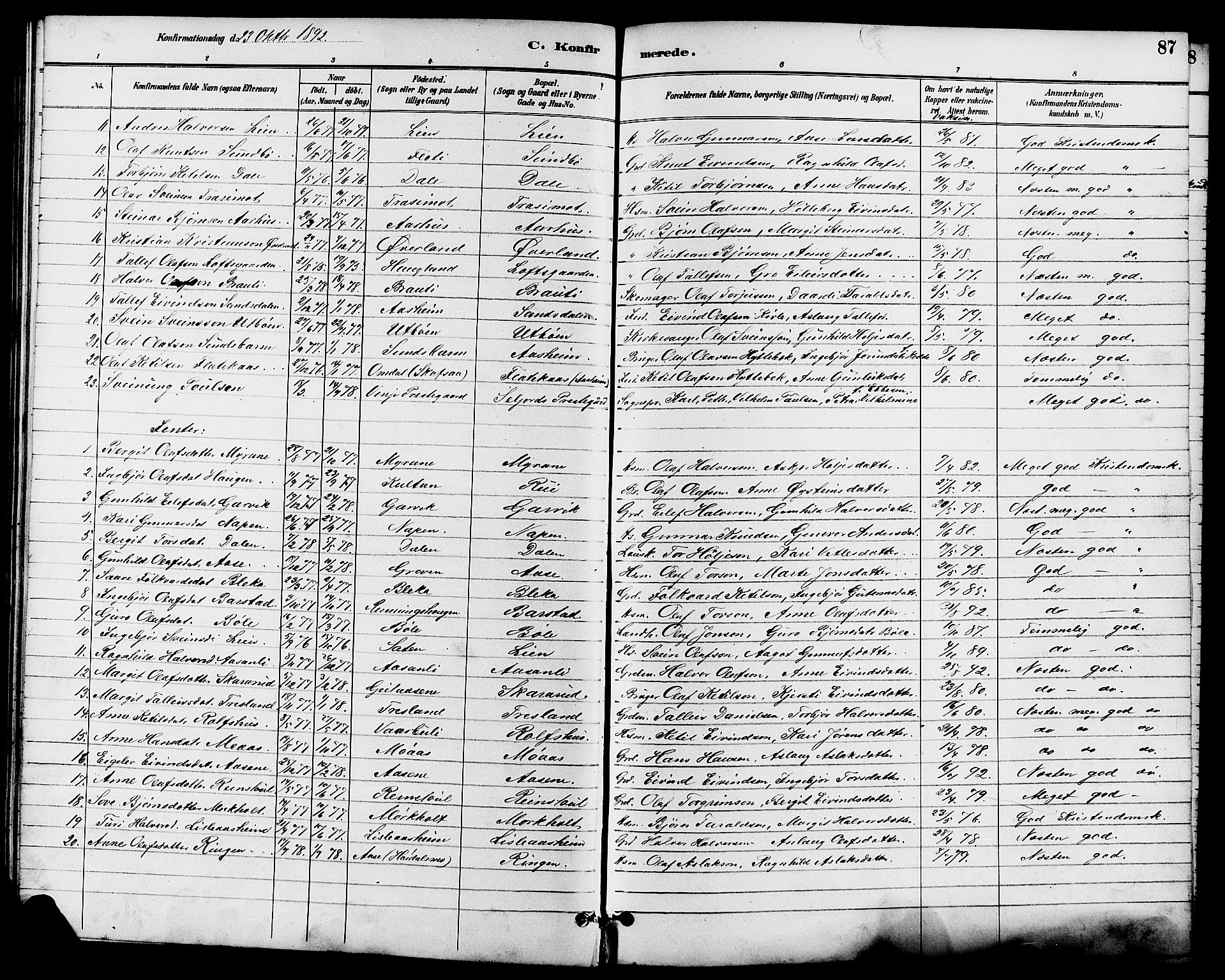 Seljord kirkebøker, SAKO/A-20/G/Ga/L0005: Parish register (copy) no. I 5, 1887-1914, p. 87