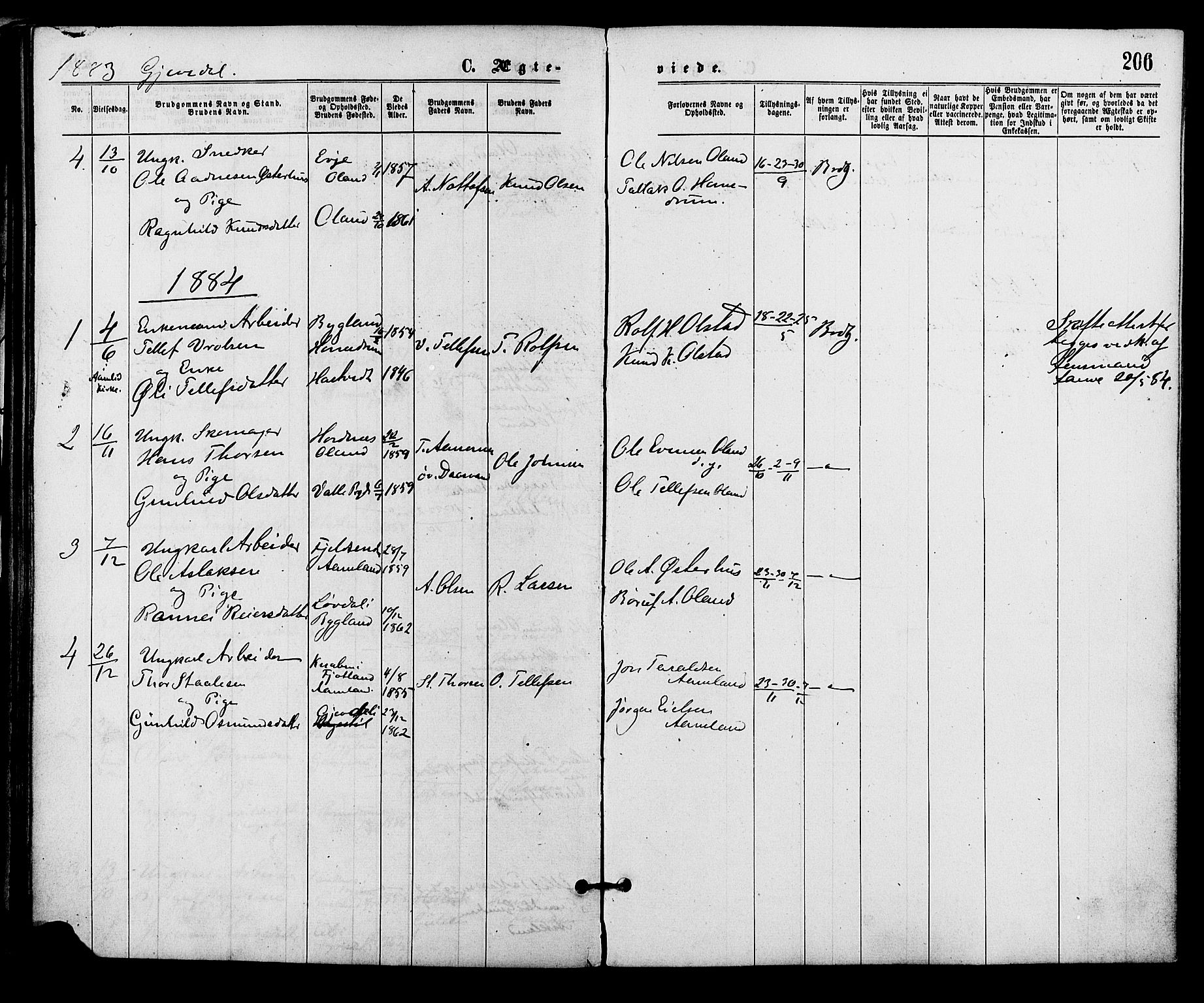 Åmli sokneprestkontor, AV/SAK-1111-0050/F/Fa/Fac/L0009: Parish register (official) no. A 9 /2, 1869-1884, p. 206