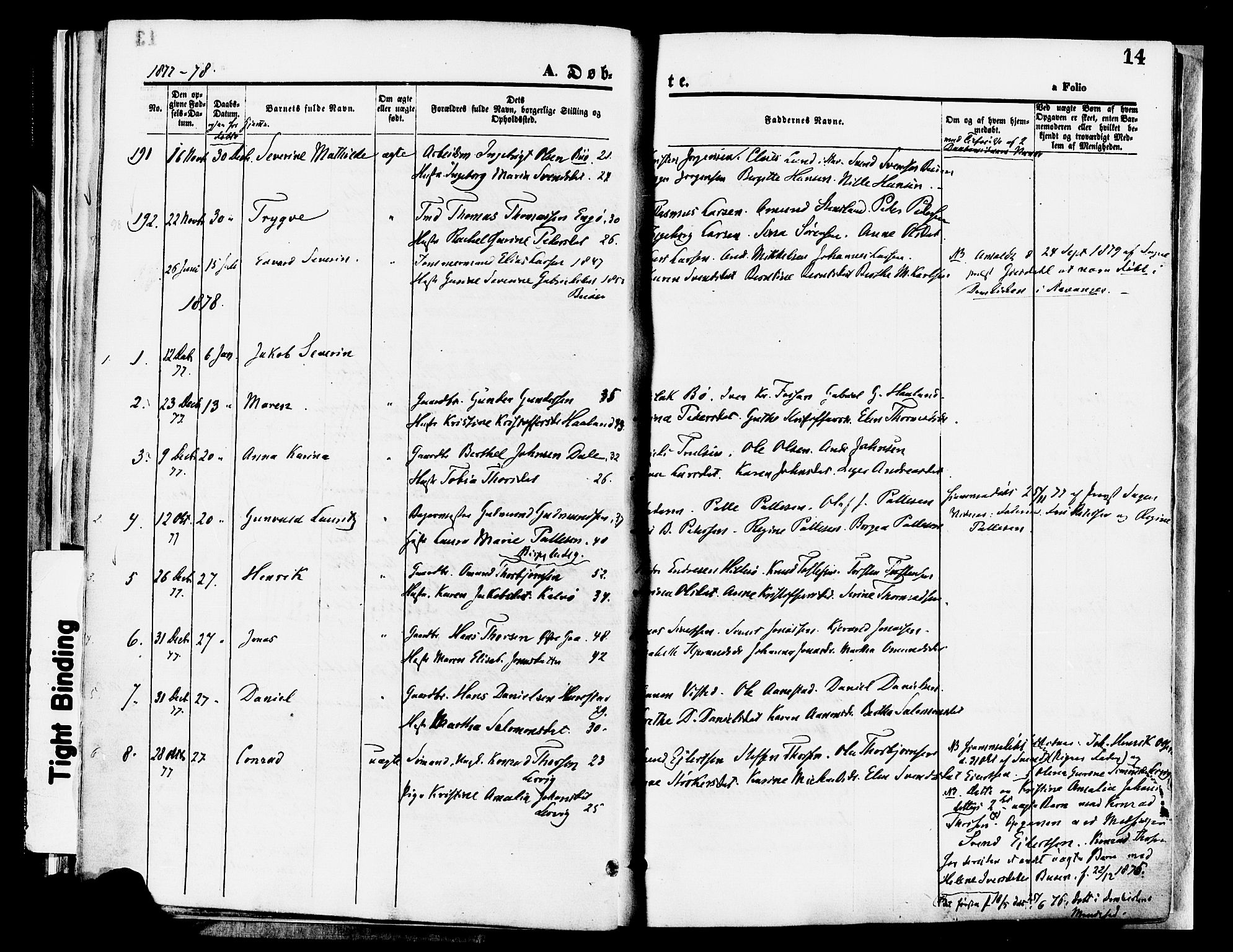 Hetland sokneprestkontor, SAST/A-101826/30/30BA/L0008: Parish register (official) no. A 8, 1877-1884, p. 14