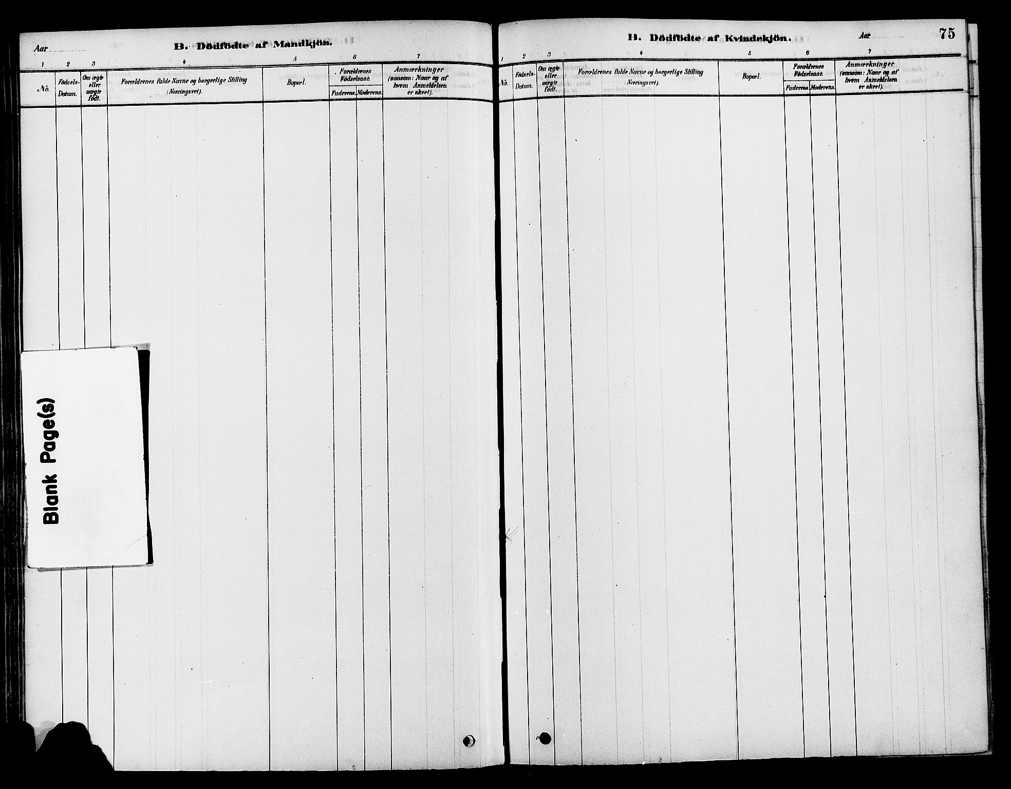 Søndre Land prestekontor, SAH/PREST-122/K/L0002: Parish register (official) no. 2, 1878-1894, p. 75