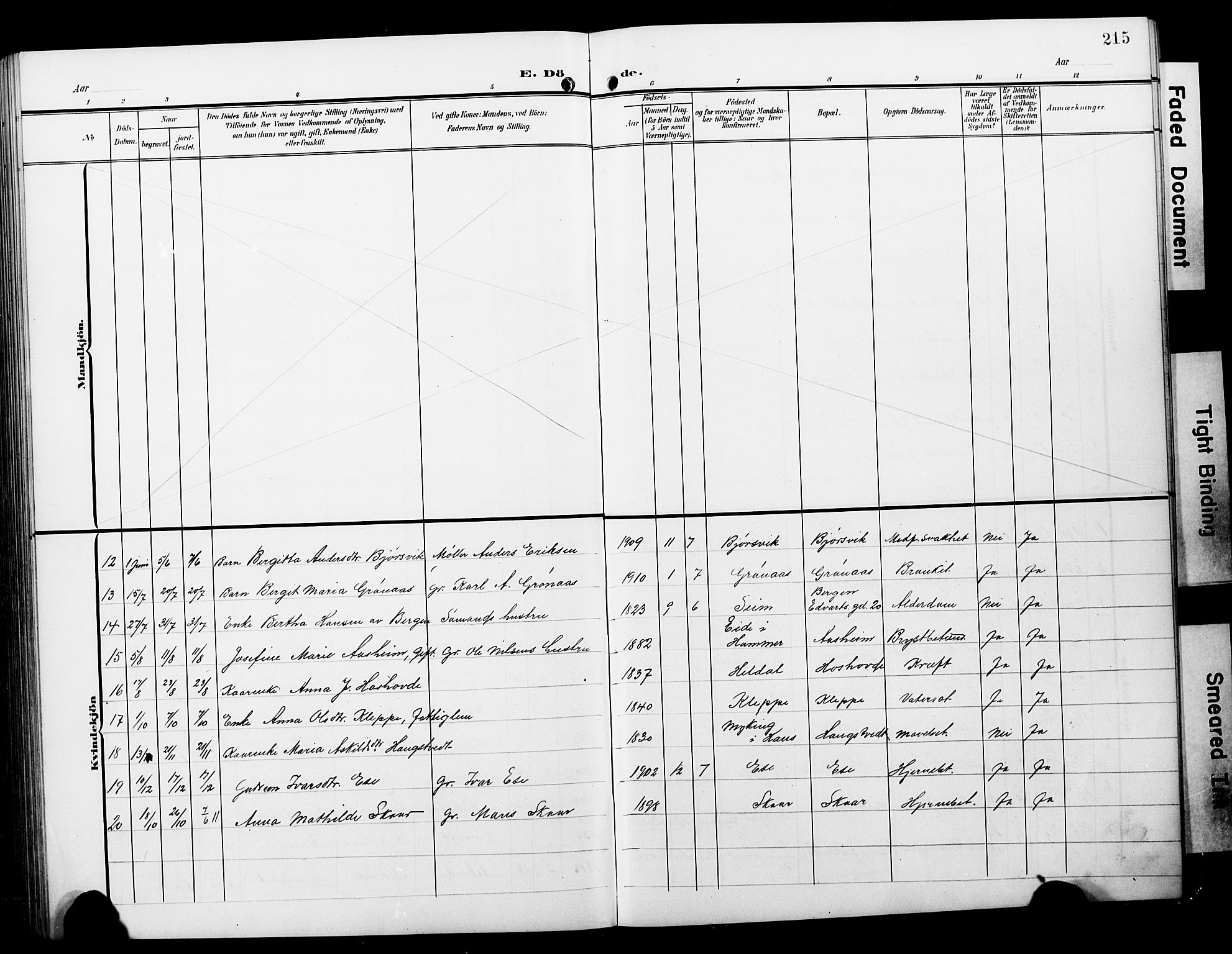 Hosanger sokneprestembete, AV/SAB-A-75801/H/Hab: Parish register (copy) no. A 4, 1904-1927, p. 215