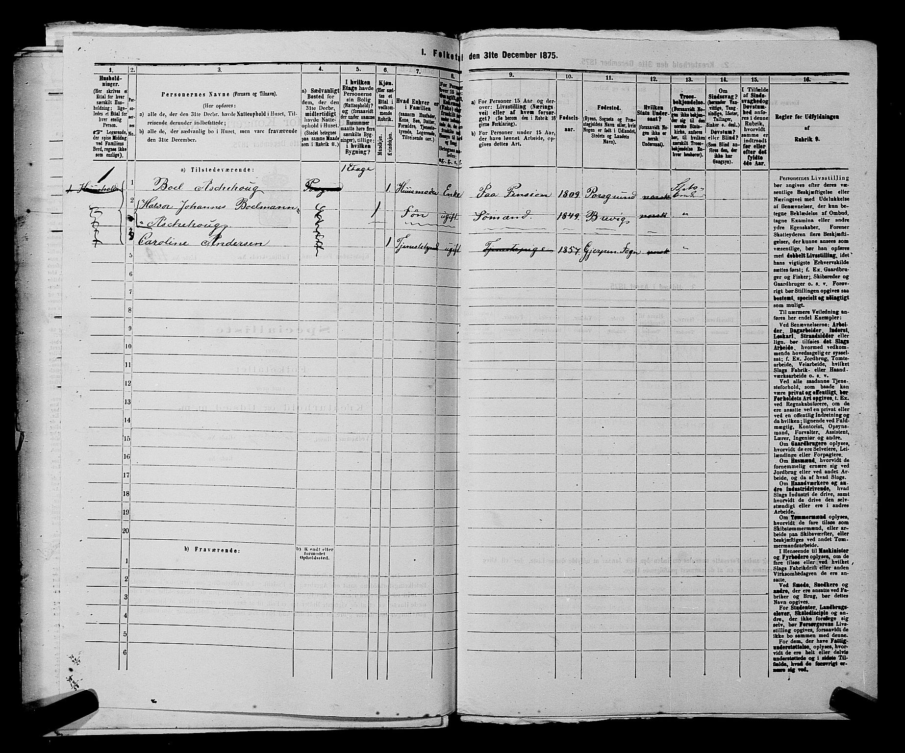 SAKO, 1875 census for 0805P Porsgrunn, 1875, p. 252