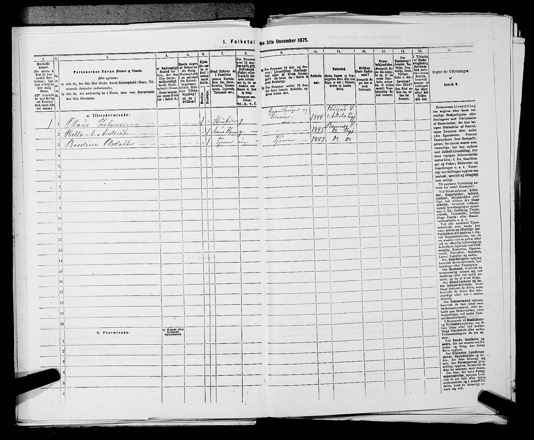 SAKO, 1875 census for 0719P Andebu, 1875, p. 994