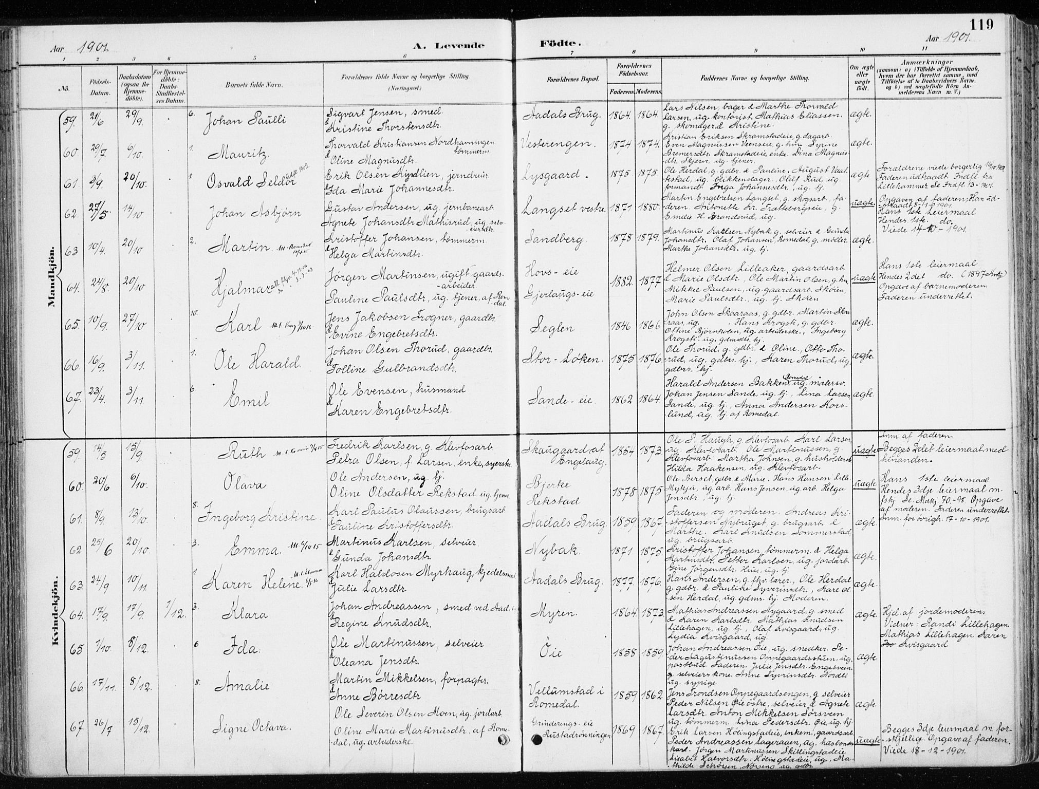 Løten prestekontor, AV/SAH-PREST-022/K/Ka/L0010: Parish register (official) no. 10, 1892-1907, p. 119