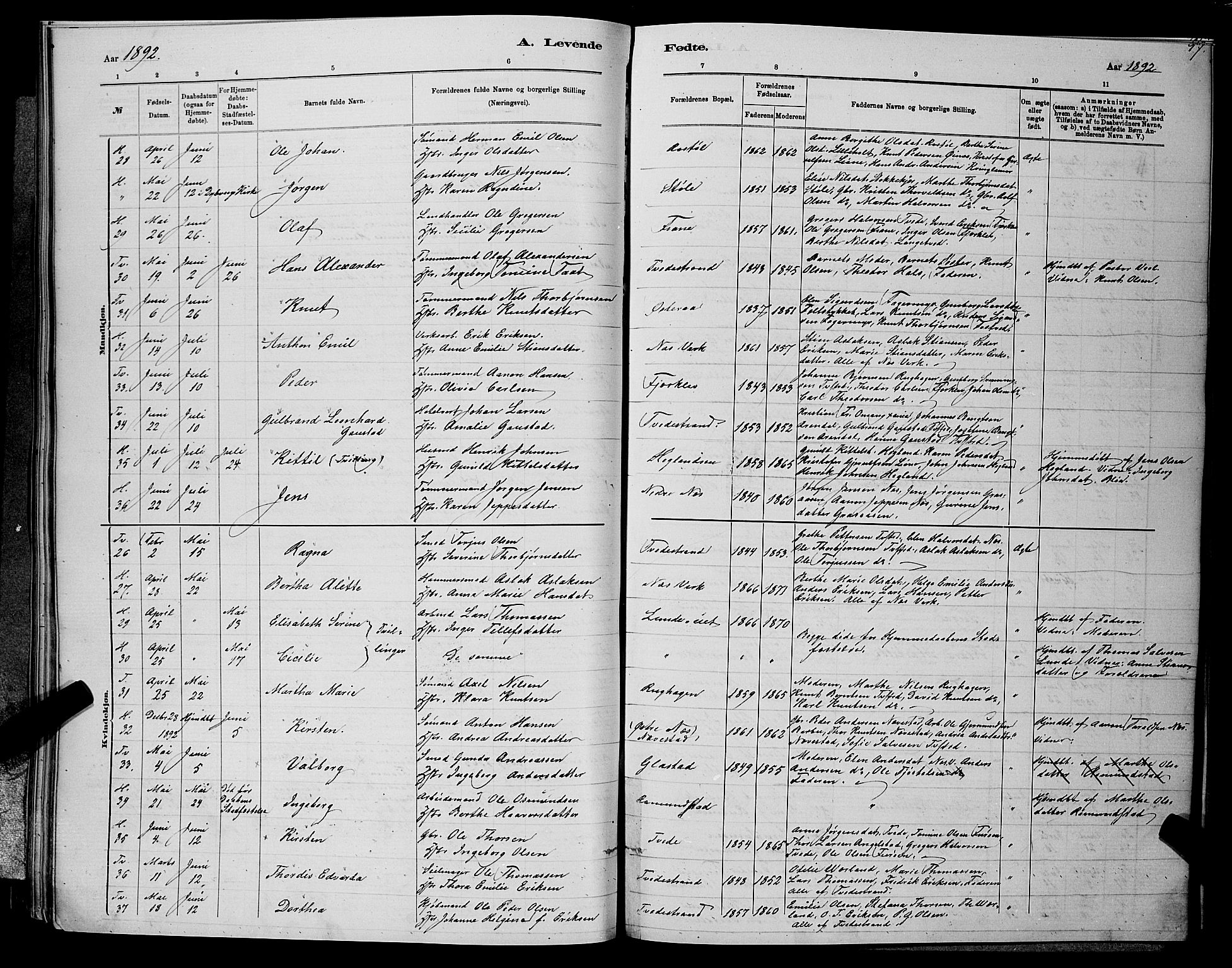 Holt sokneprestkontor, SAK/1111-0021/F/Fb/L0010: Parish register (copy) no. B 10, 1883-1896, p. 97