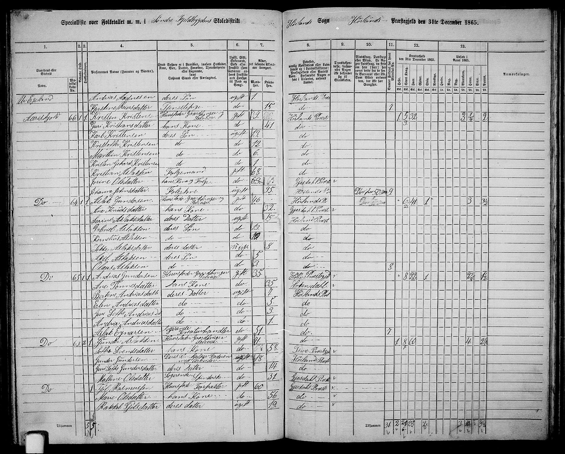 RA, 1865 census for Høyland, 1865, p. 111